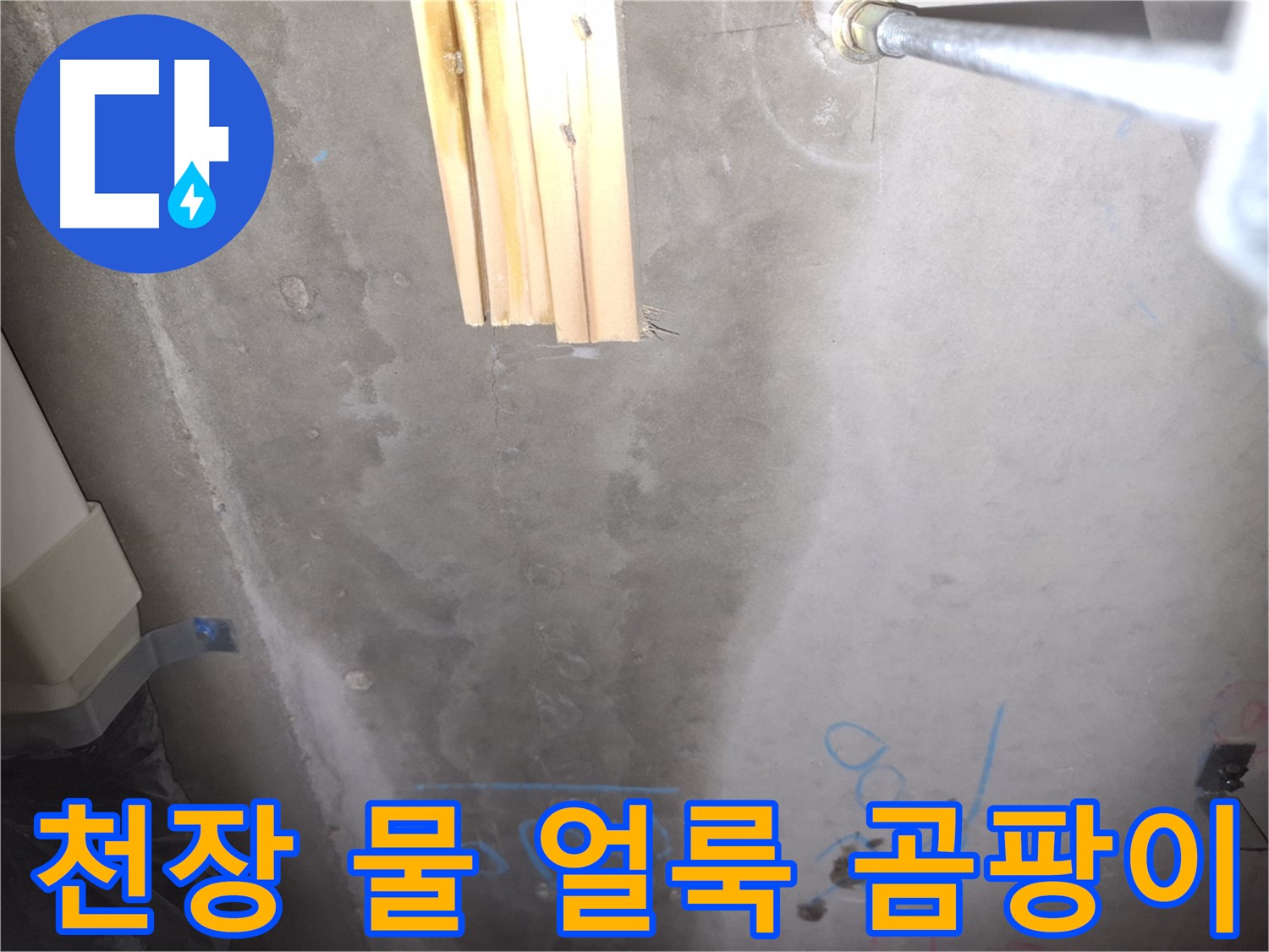 콘크리트 천장 누수 - 물 얼룩과 곰팡이