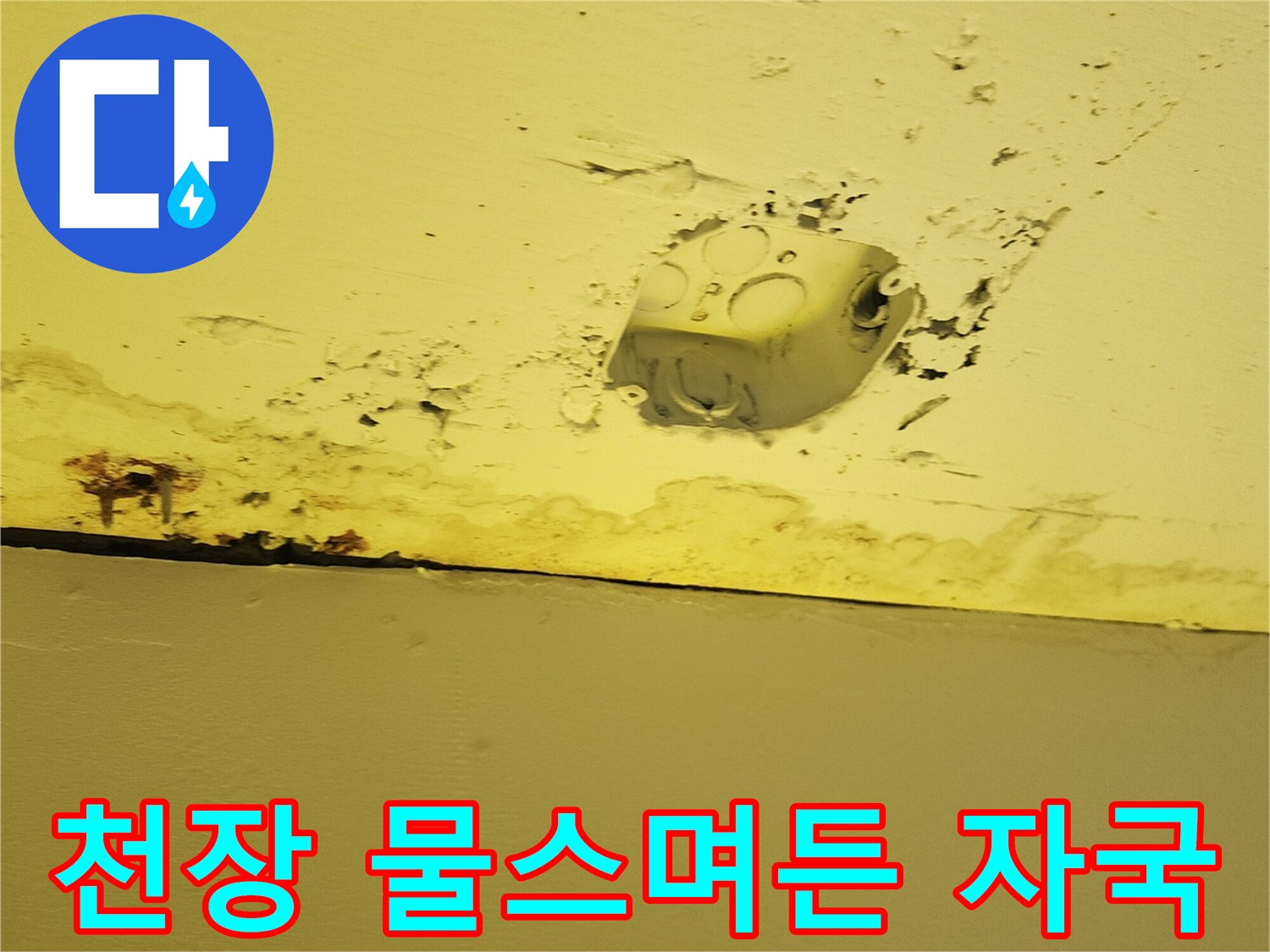 양주 도하리-상가 천장 마감재의 습기 및 얼룩 부위