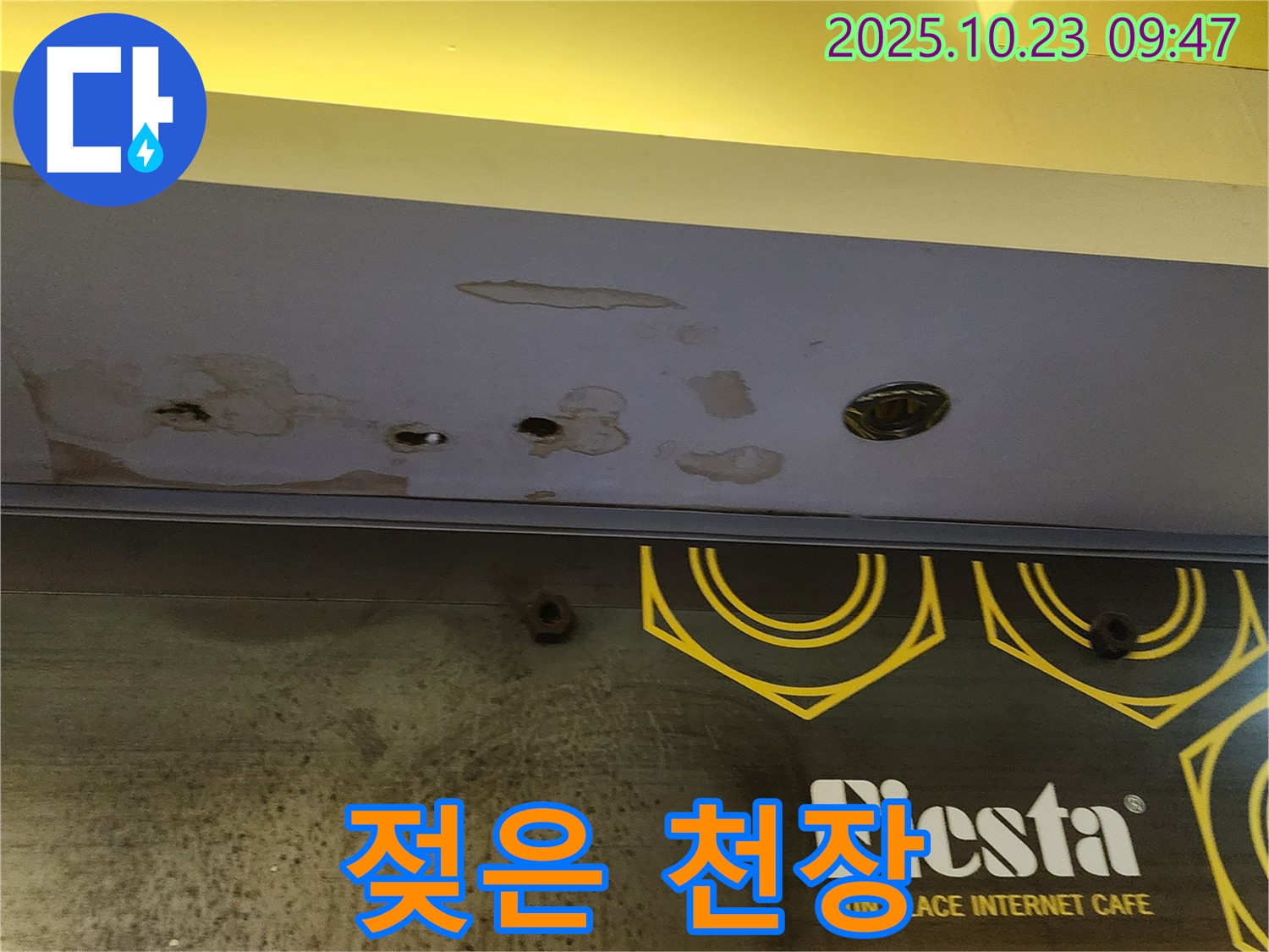 양주시 도하리 건물 천장 - 젖어있는 천장 모습으로, 심각한 누수 상황을 보여줍니다.
