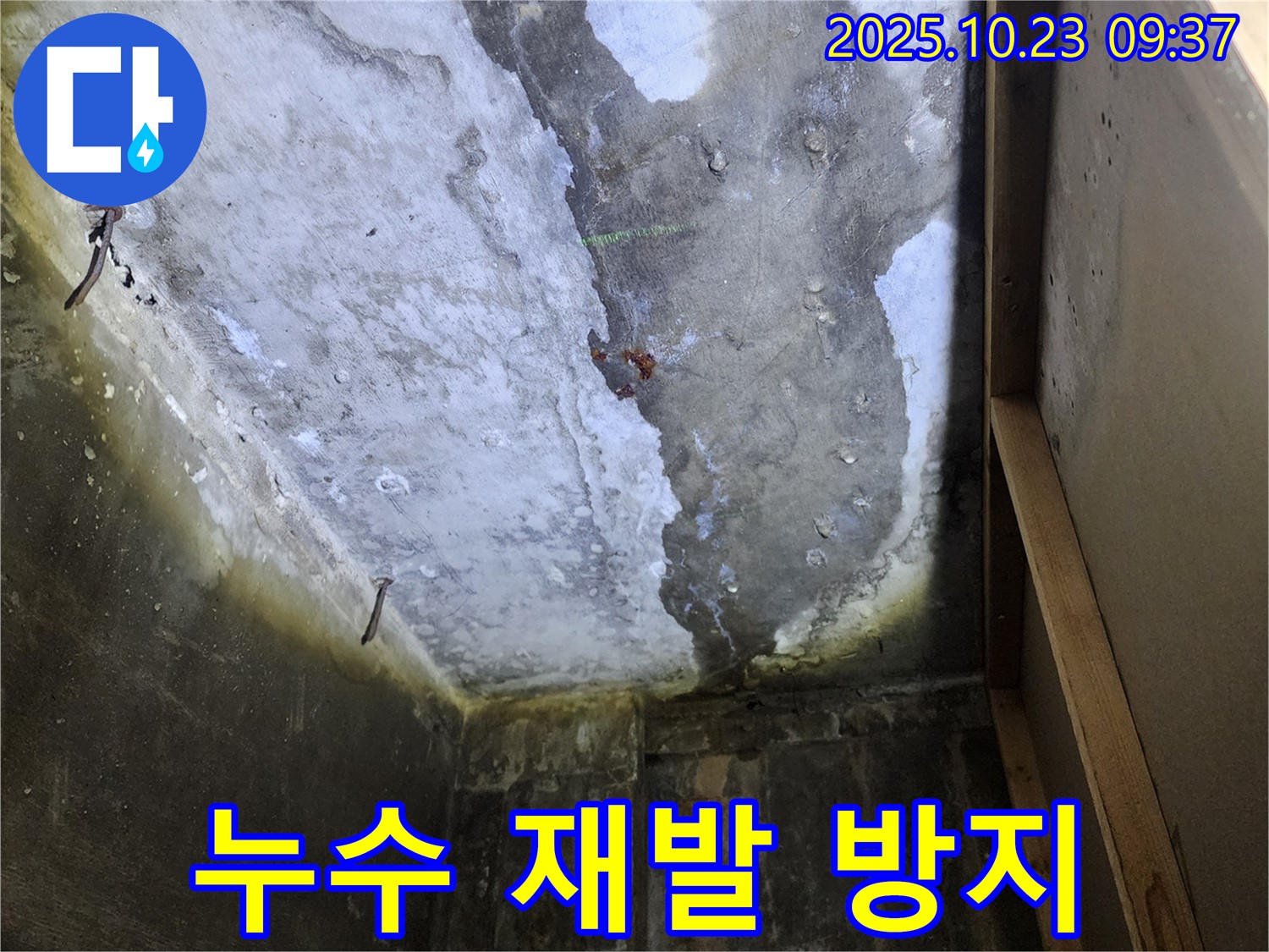 완벽한 시공으로 누수 재발 방지 - 꼼꼼한 시공 과정을 보여주는 사진입니다.