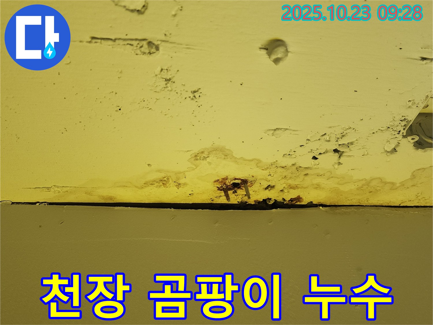 천장 누수로 인한 곰팡이 발생 - 곰팡이 제거 및 방지 시공으로 건강한 공간을 만들어 드립니다.