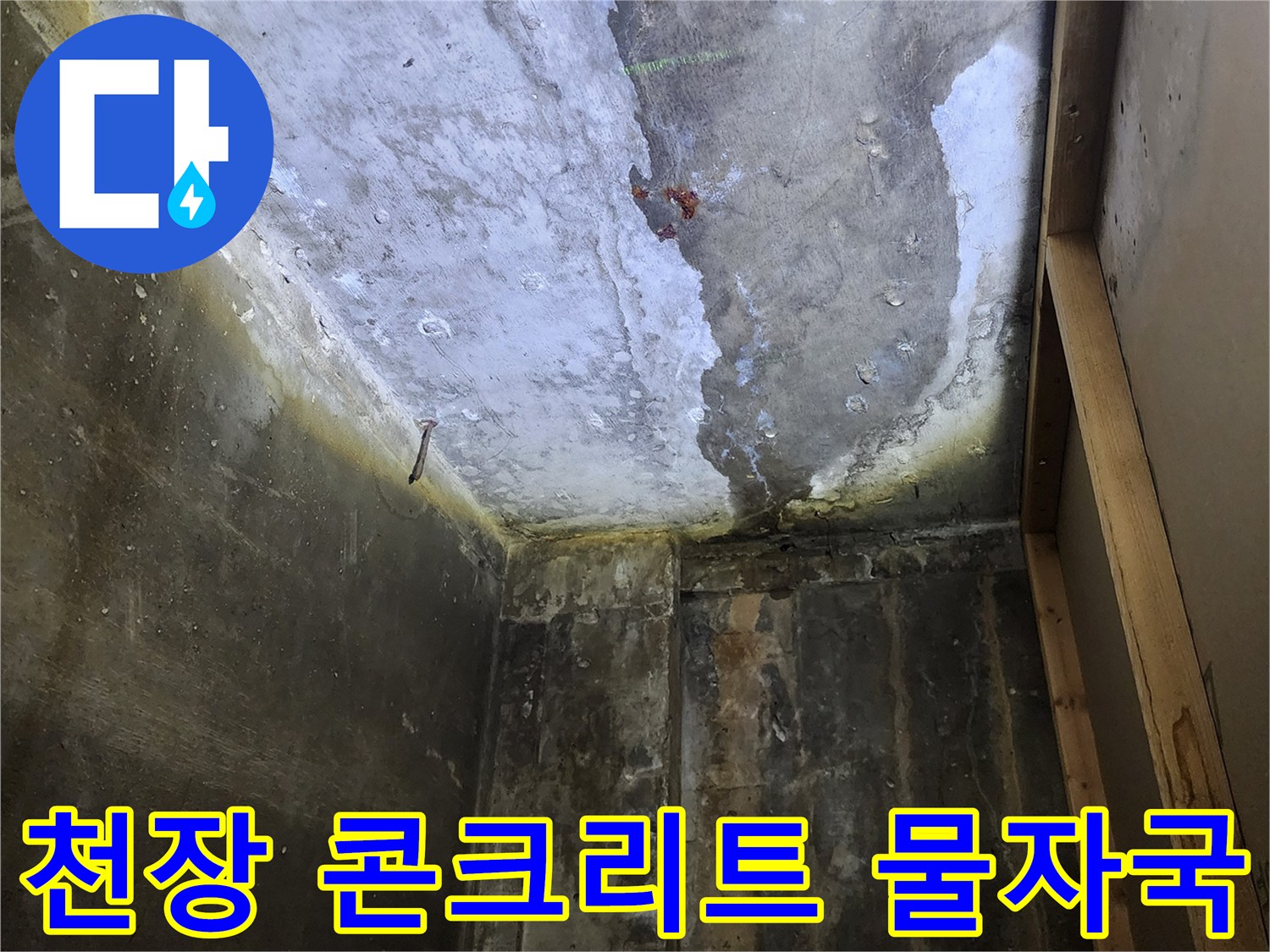 물에 젖어 변색되고 오염된 상가 천장 슬래브의 모습