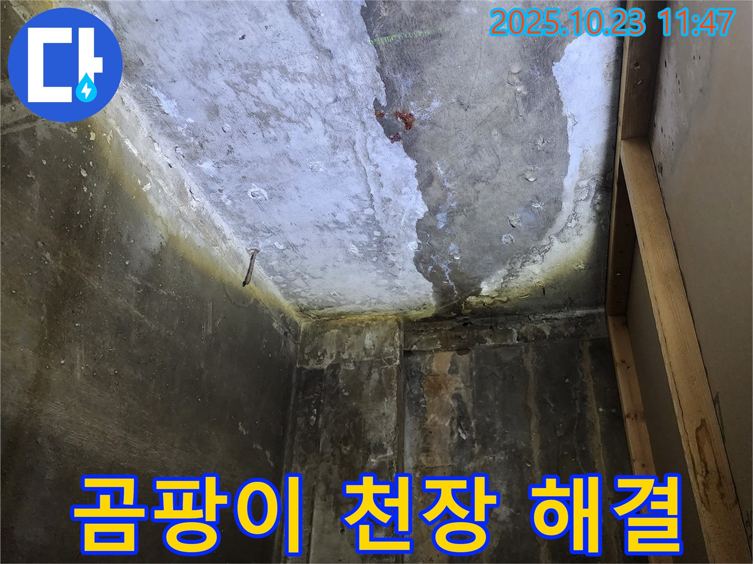 양주시 - 곰팡이 핀 천장, 누수 해결 우선