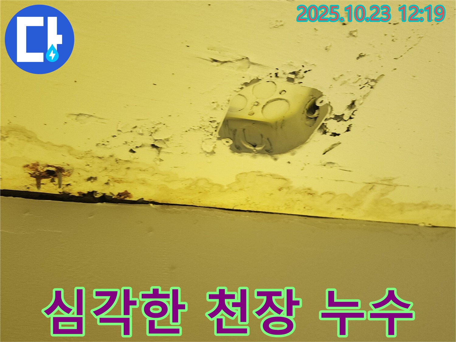 양주시 은현면 하패리 천장 누수 현장 - 심각하게 손상된 천장과 누수 자국