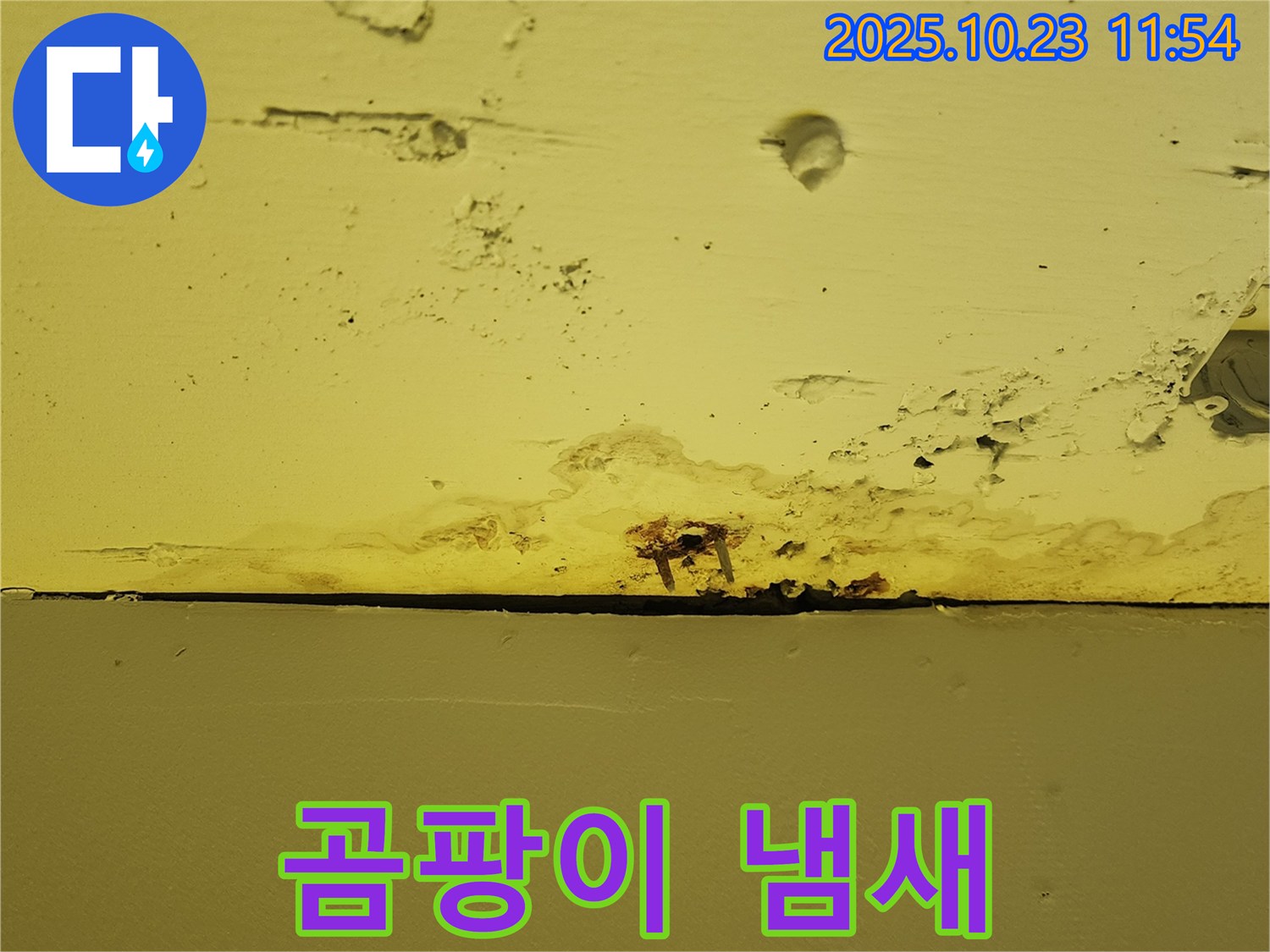양주시 은현면 하패리 - 천장 누수로 인한 곰팡이 냄새 - 건강을 위협할 수 있습니다.