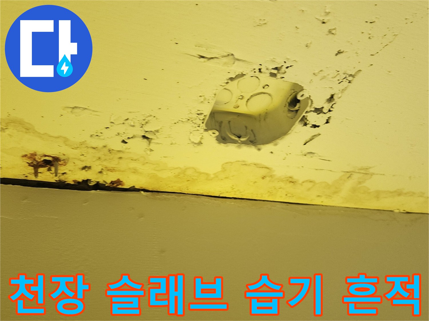 하패리 현장 점검-습기에 오염된 천장 부위