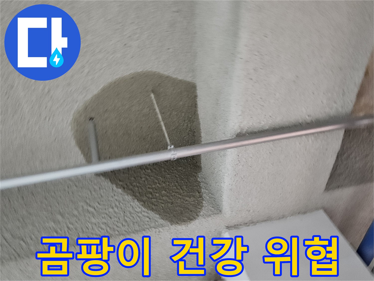 고양동 벽 - 곰팡이 - 건강 위협 - 빠른 해결