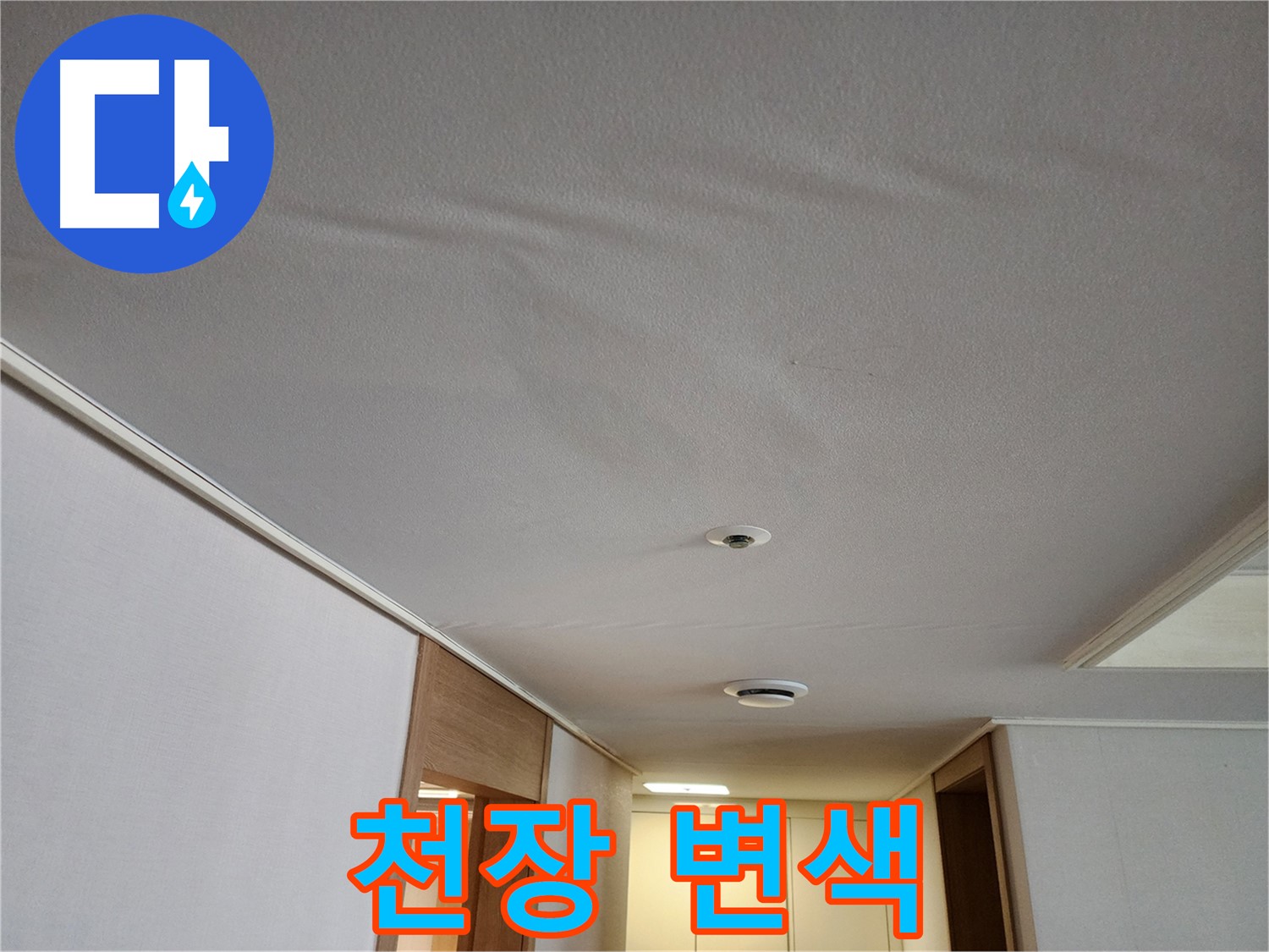사우동 누수 - 아파트 천장 변색, 누수 원인 조사
