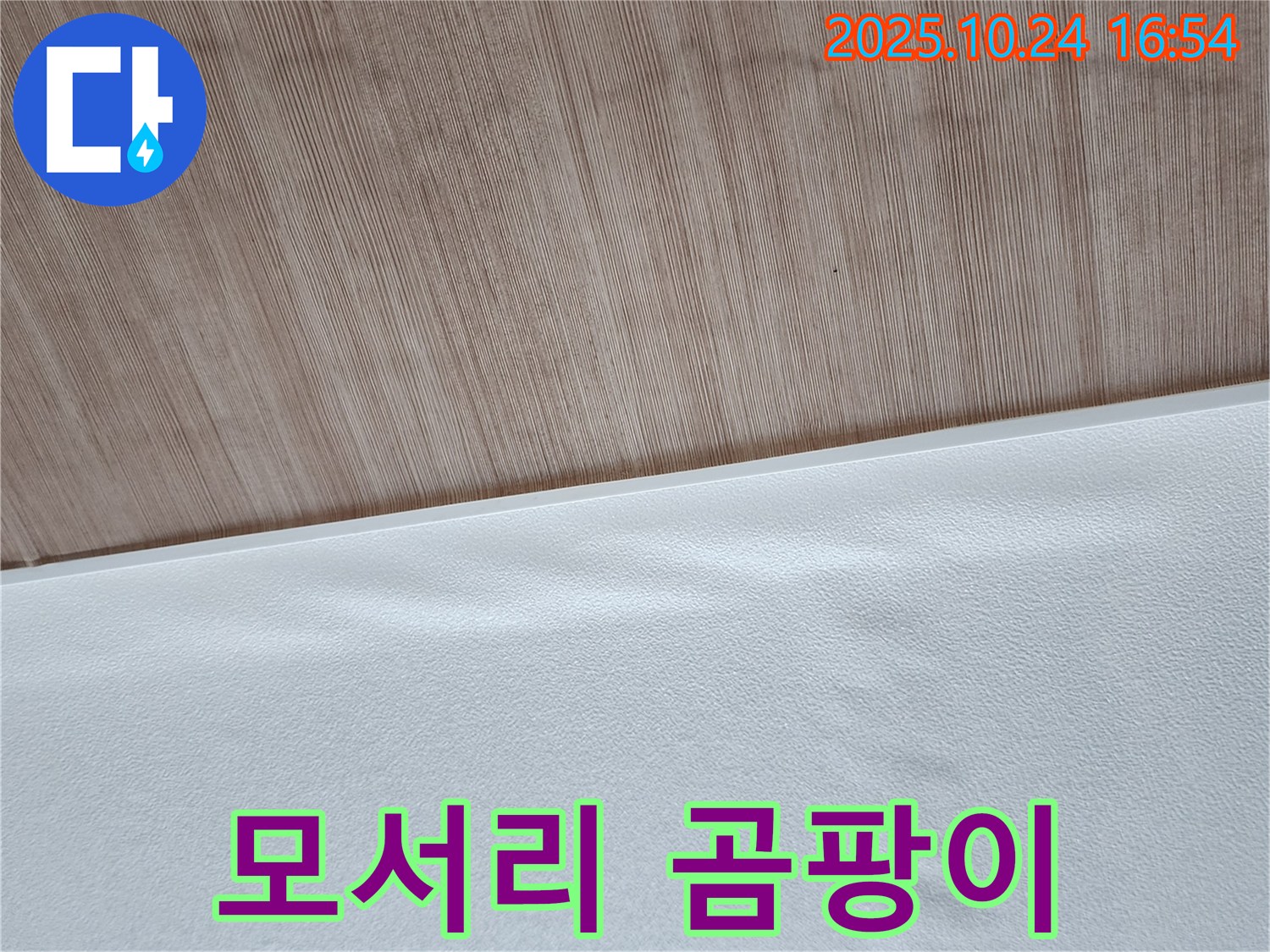 벽 모서리 곰팡이 - 벽 모서리에 곰팡이가 핀 모습입니다.