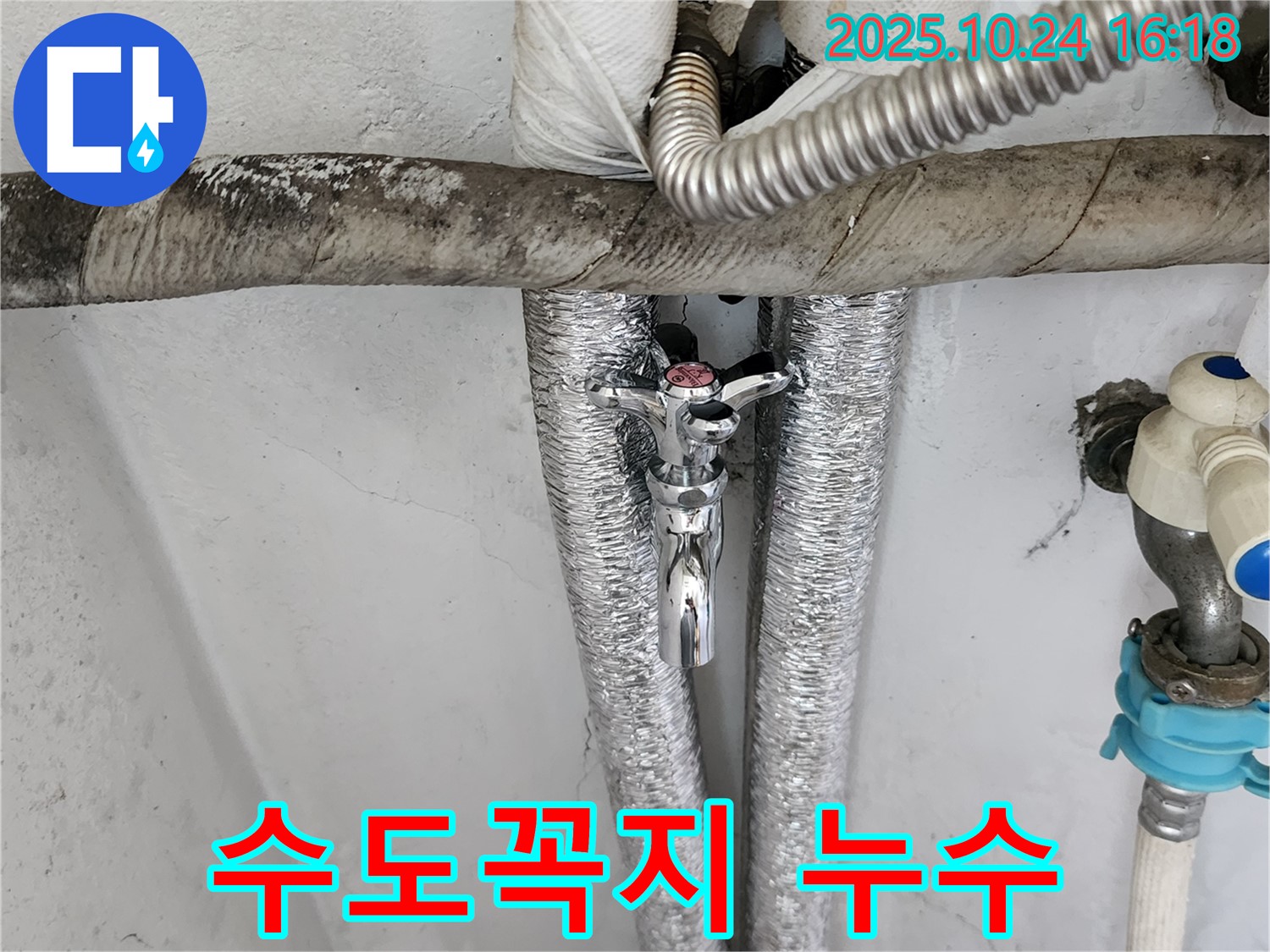 양주 세탁기 수도꼭지 연결 부위 누수 - 꼼꼼한 점검과 수리