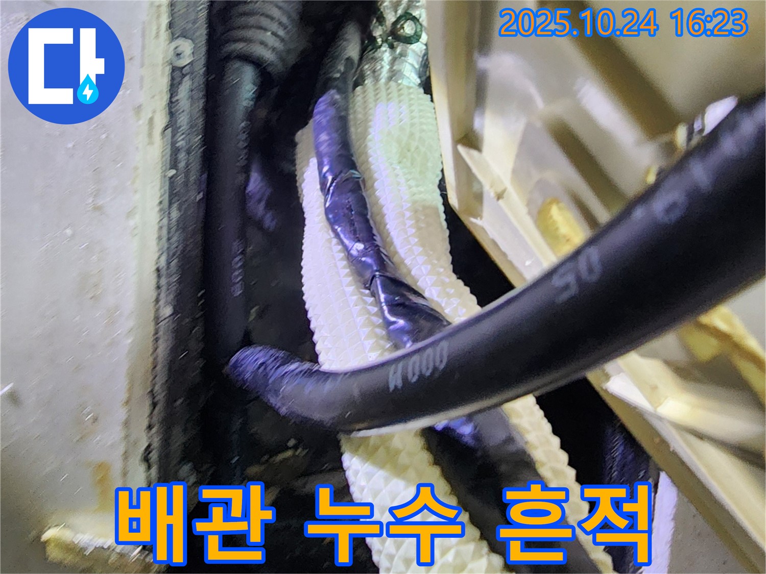 양주1동 누수 현장에서 발견된 배관 누수 흔적 - 꼼꼼한 누수 탐지로 문제 해결!