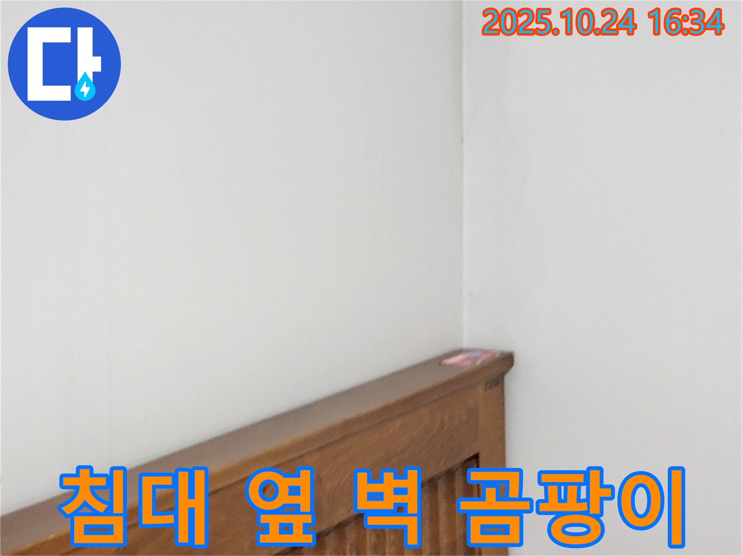 양주1동 봉우로 누수 현장 - 침대 옆 벽 누수로 인한 곰팡이 발생을 해결하는 누수 전문가의 꼼꼼한 곰팡이 제거 작업