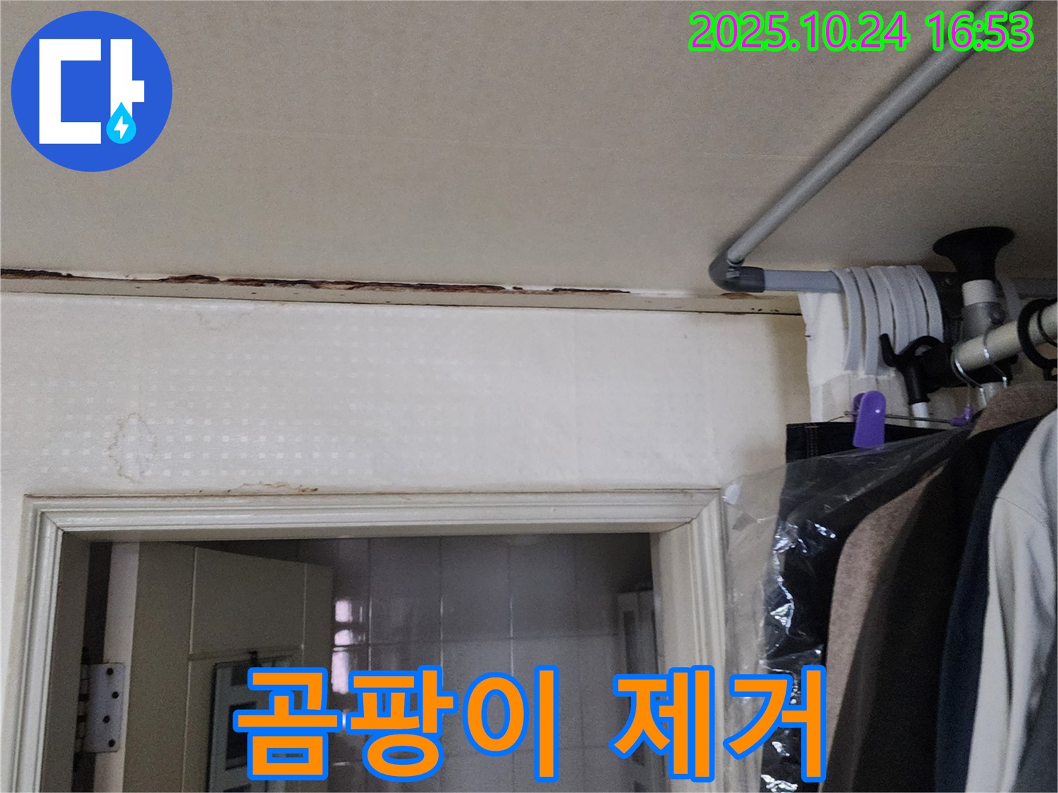 양주시 - 천장 곰팡이 - 누수 해결 후 완벽 제거