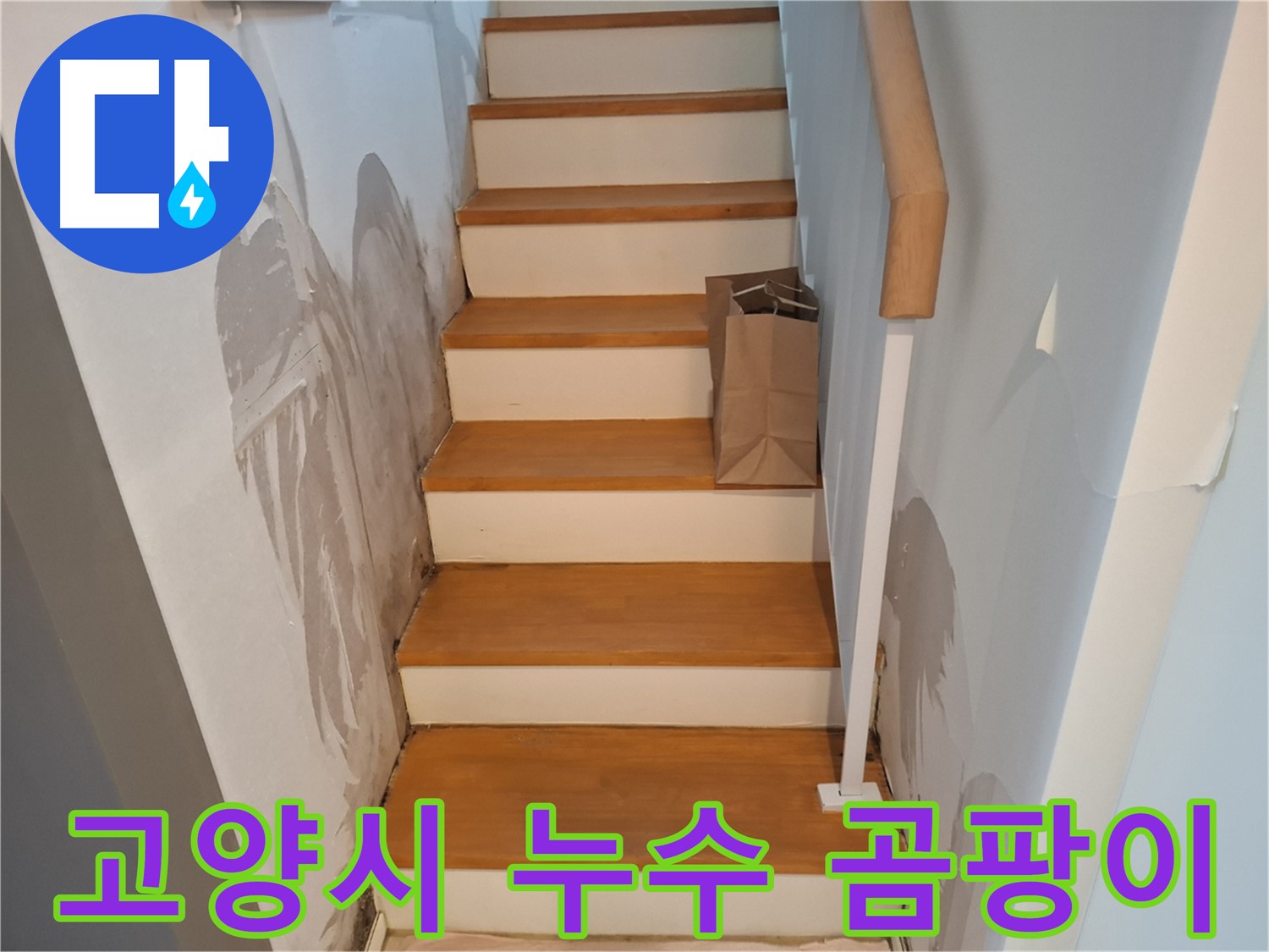 계단 벽 곰팡이 - 건강 위협, 곰팡이 퇴치 작전