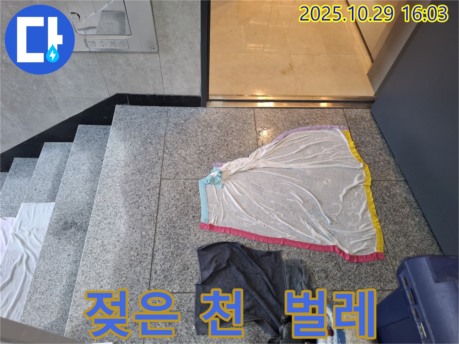 고양시 지축동 누수 - 젖은 천, 계단 틈새 벌레, 습기
