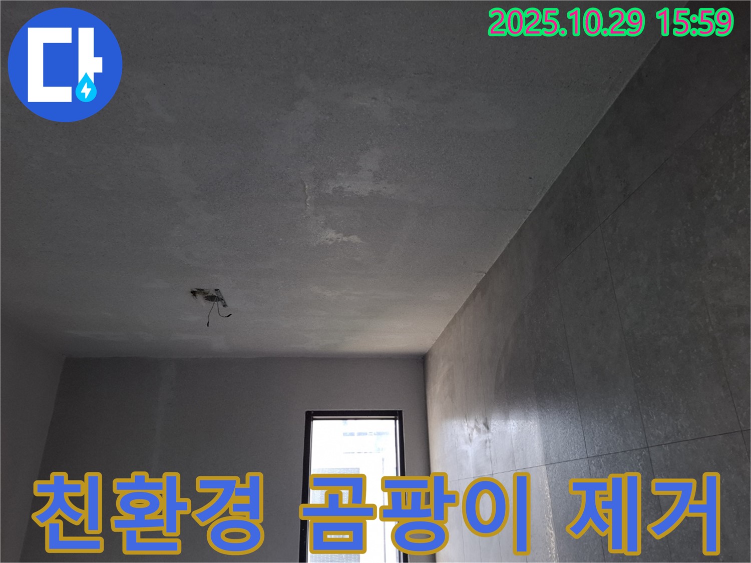 신원동 천장 누수 - 곰팡이 발생, 친환경 곰팡이 제거 시공 이미지입니다.
