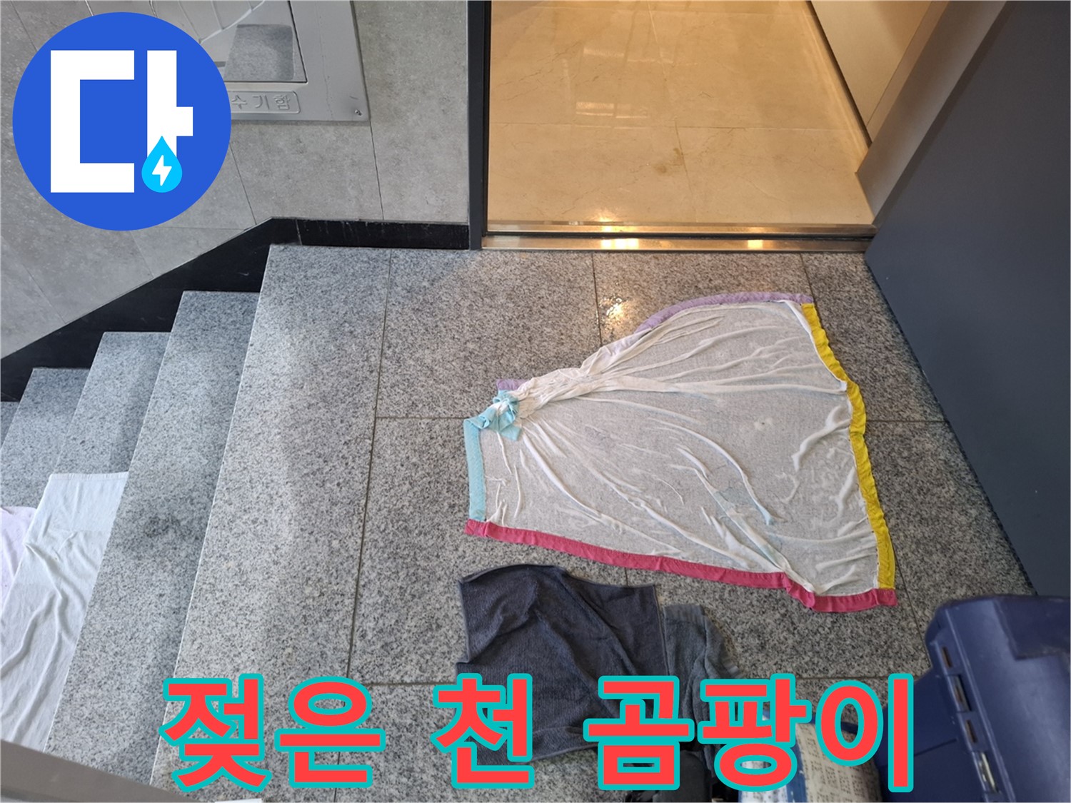 젖은 레이스 천과 검은 옷, 곰팡이는 못 가려 - 덕양구