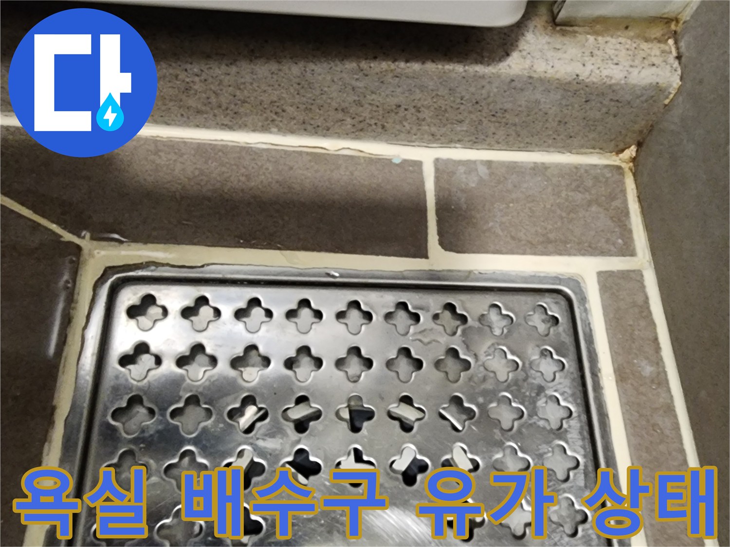 양주시 옥정동-욕실 배수구 주변의 방수층 파손 상태를 보여주는 사진입니다.