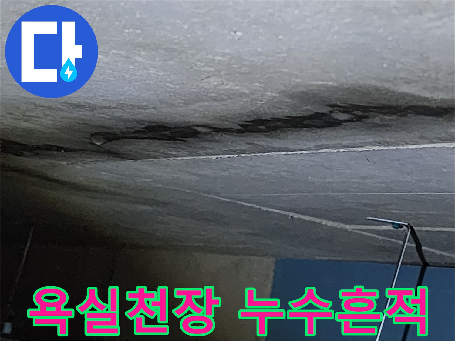 양주시 옥정동-욕실 천장 벽면의 어두운 물때와 얼룩 현상
