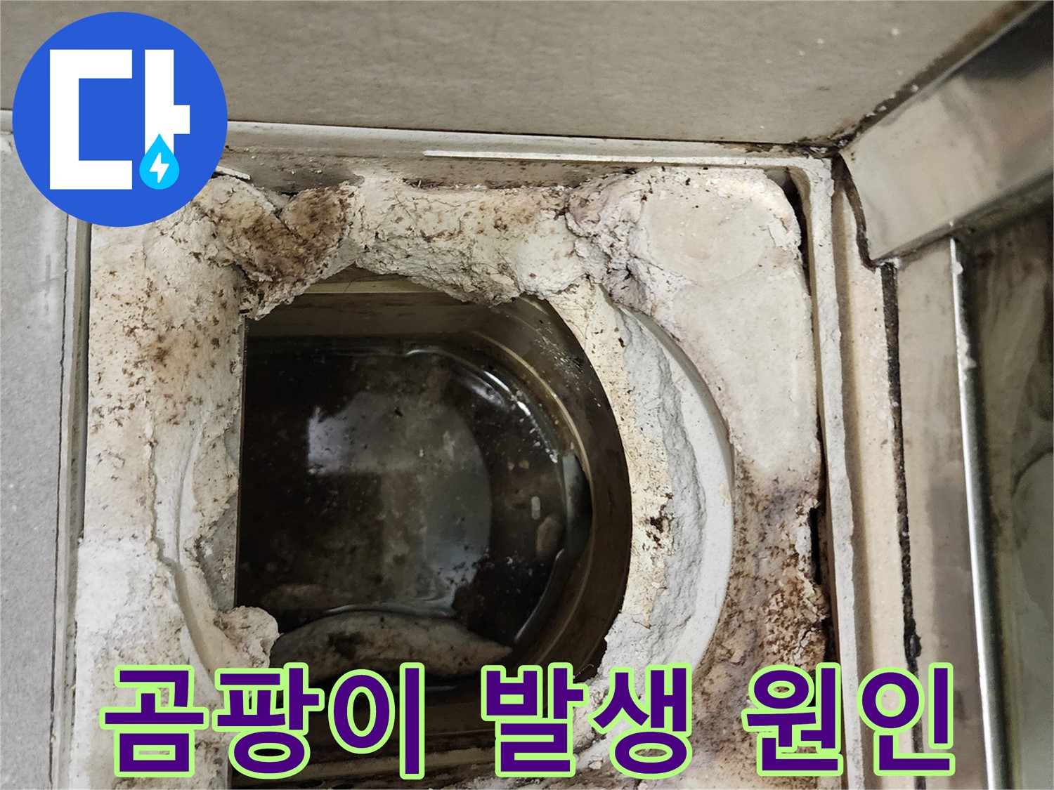 금호동2가 신금호파크자이 욕실 유가 주변 곰팡이 - 누수와 습기