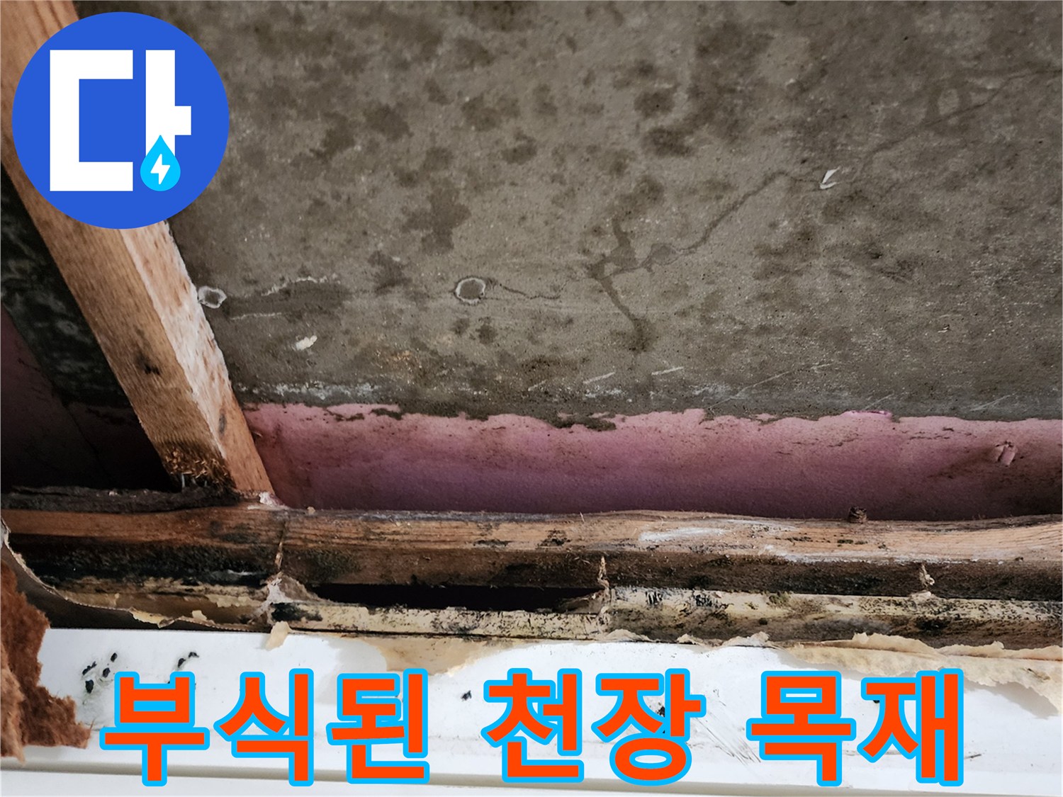 누수로 인해-부식되고-오염된-천장-목재 구조물