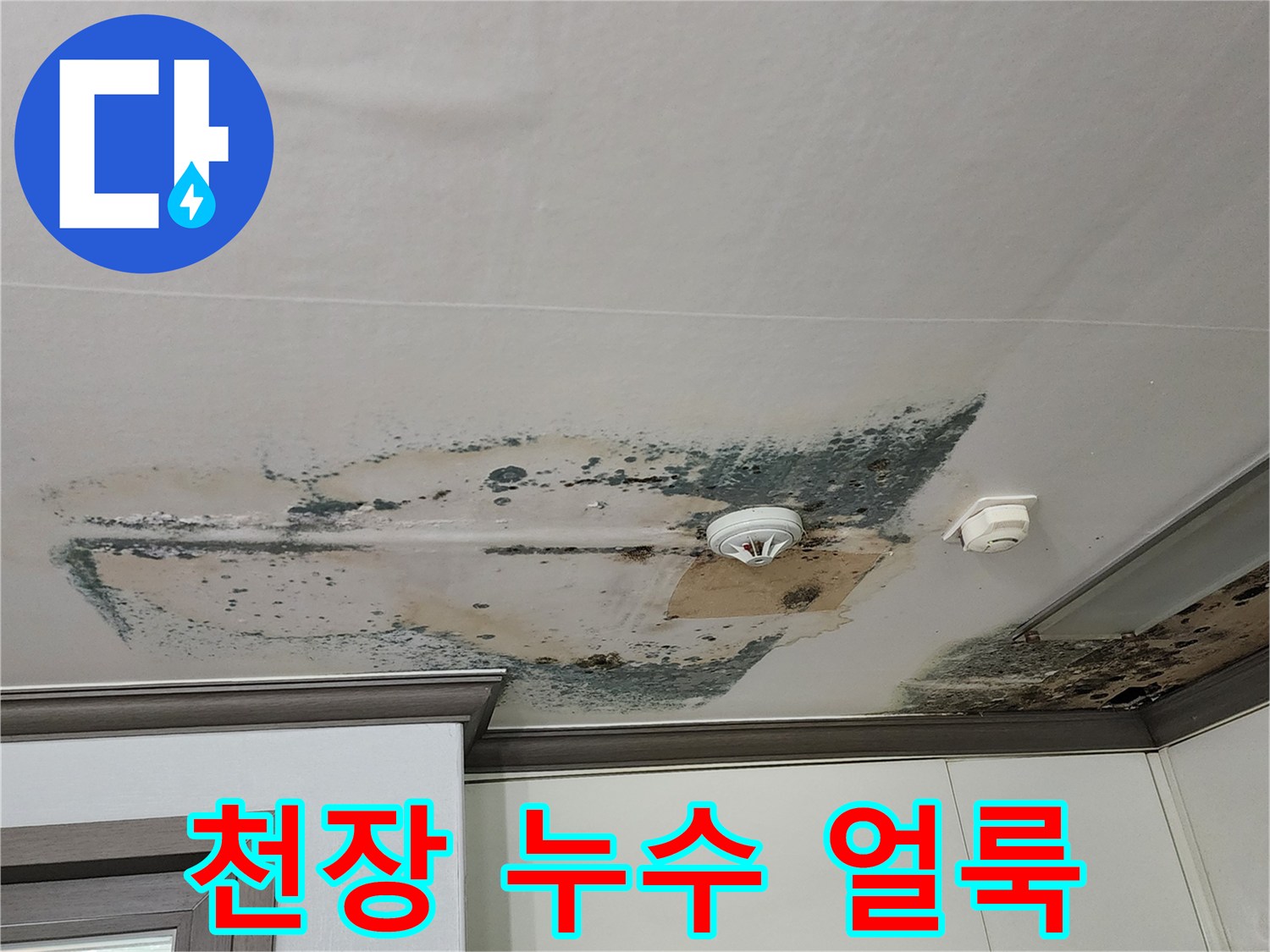 물샘 현상으로 인해 검게 변색된 천장의 곰팡이 부위
