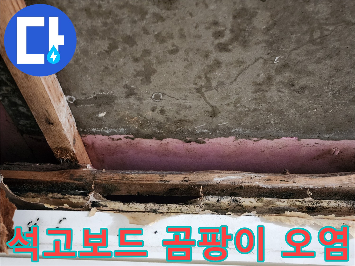 습기로-오염된-천장-석고보드와-목재-프레임