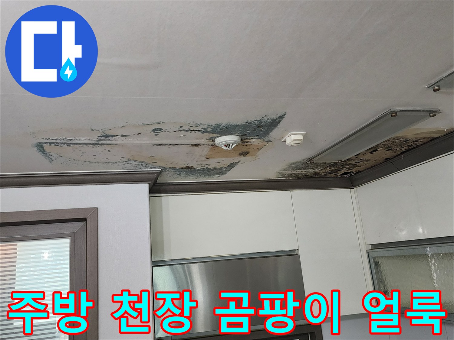 양주시 회천동 주방 천장 벽지에 퍼진 검은 곰팡이와 물샘 흔적