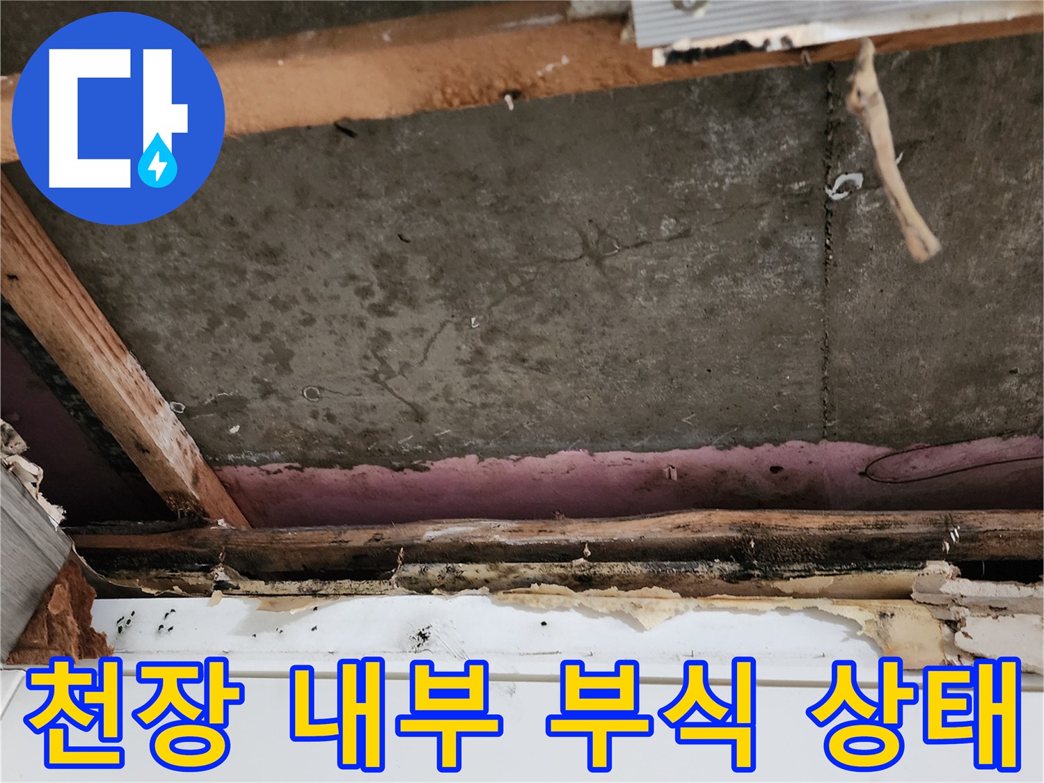 천장-내부-목재-및-석고보드-부식-상태-사진