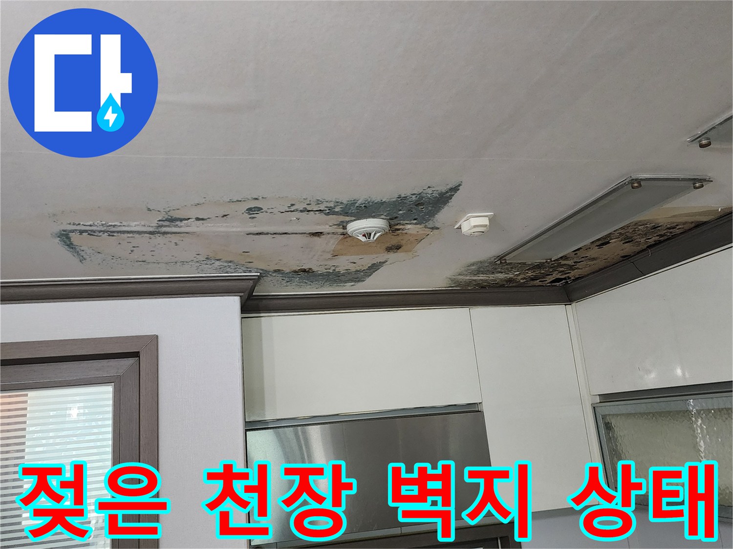 천장재가 습기로 인해 변색되고 곰팡이가 피어오른 현장 모습