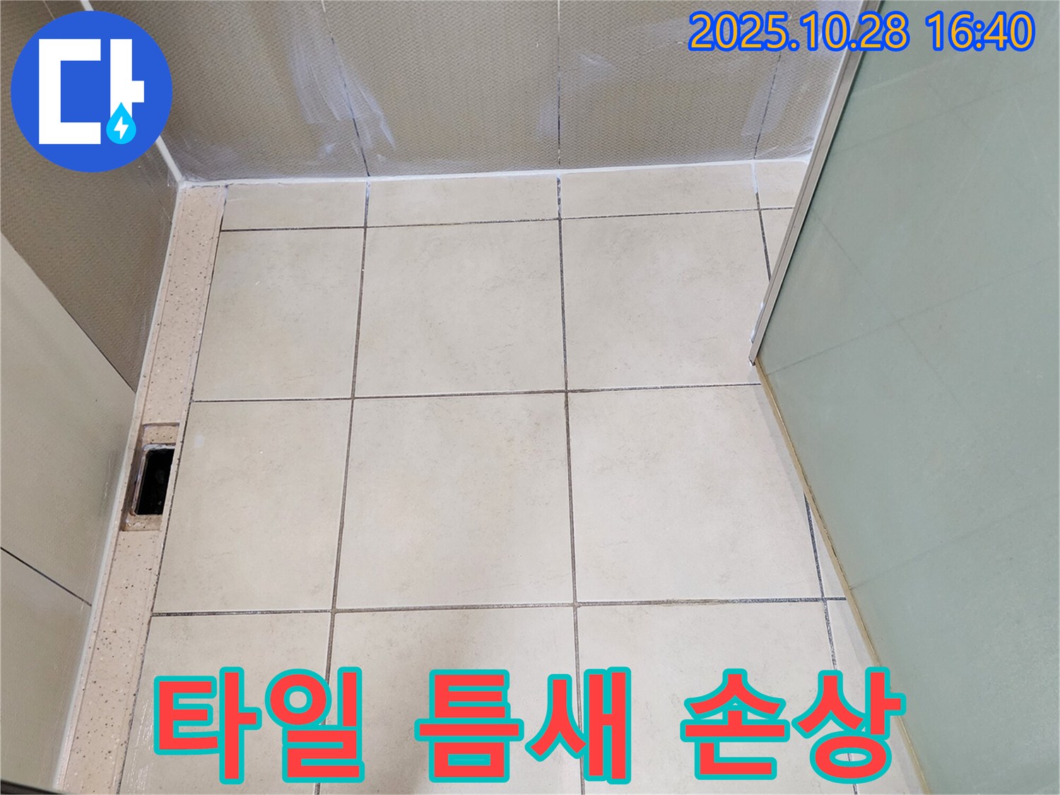 양주 샤워부스 누수 - 바닥 타일 틈새 백시멘트 손상으로 인한 누수 가능성 진단