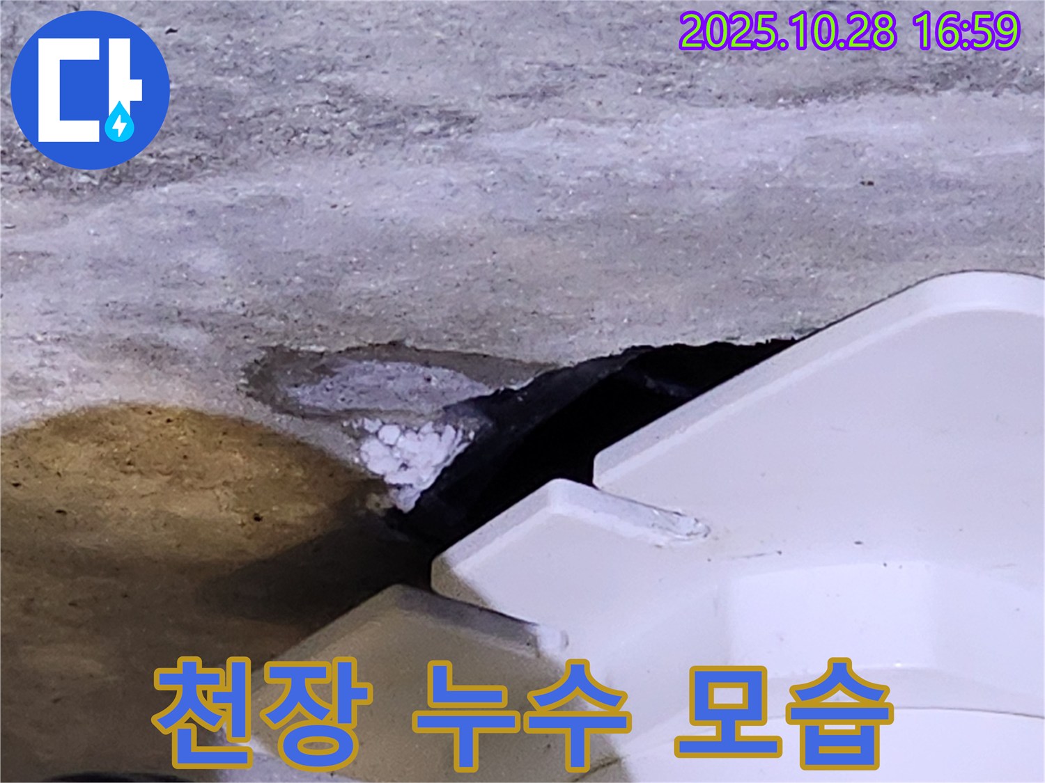 양주 유양동 천장 누수 - 천장에서 물이 떨어지는 누수 모습을 생생하게 담았습니다.
