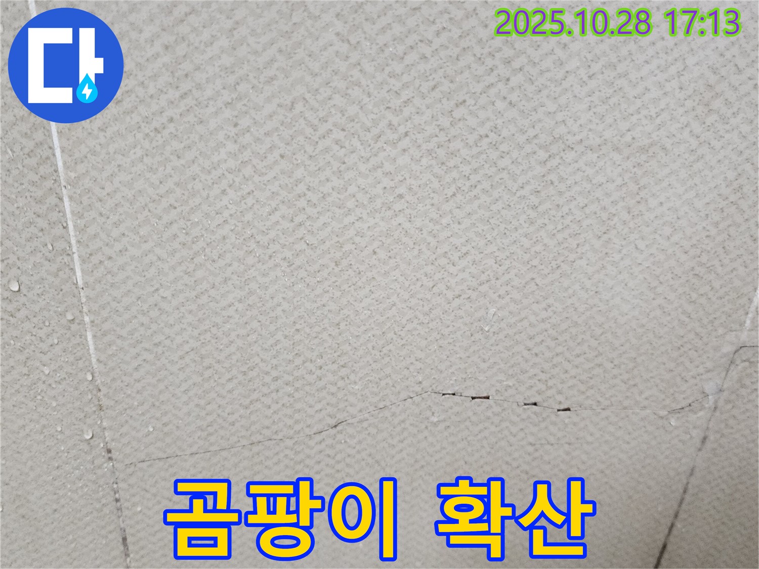 양주시 유양동 누수 - 석고보드 표면에 곰팡이가 확산되어 심각하게 오염되었습니다.
