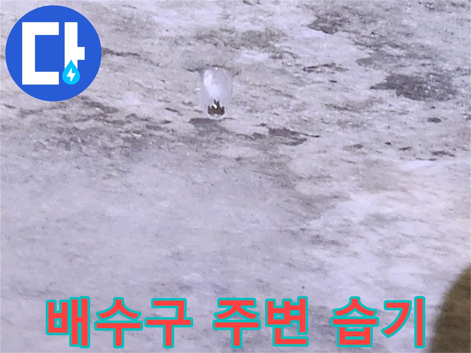 양주시 유양동 현장 - 배수구 주변의 젖어있는 상태