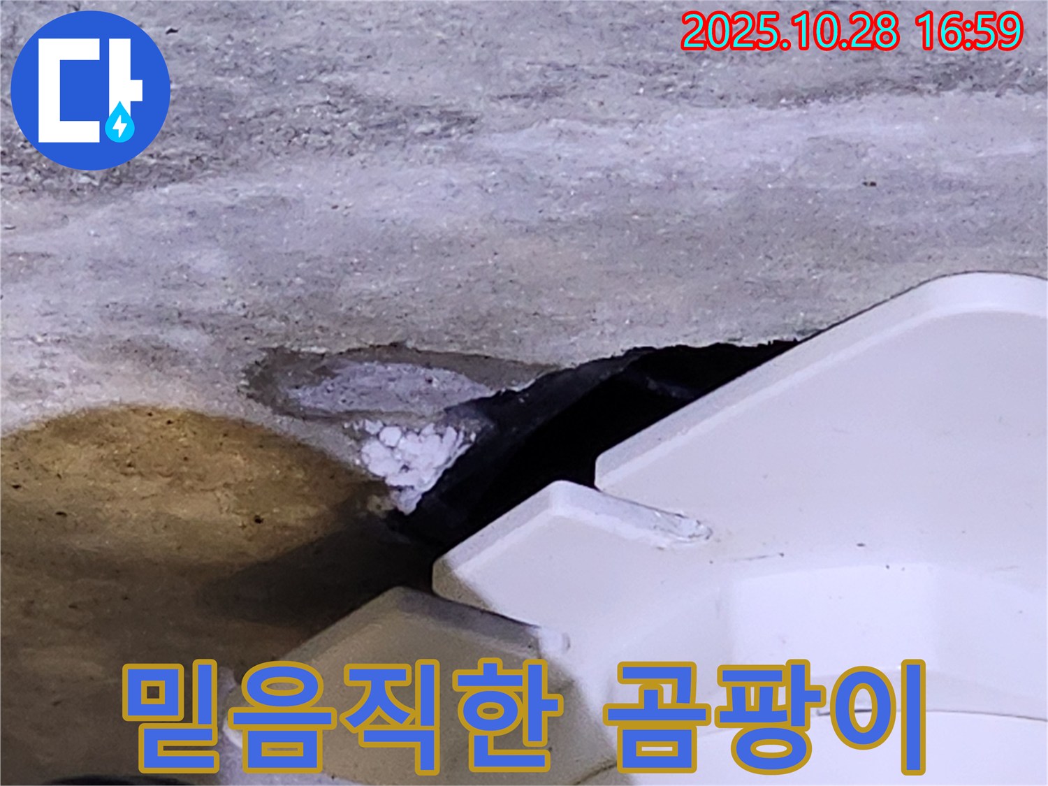 유양동 누수 전문 - 하얀 곰팡이와 함께 발생하는 누수, 믿을 수 있는 전문 업체를 선택하세요.