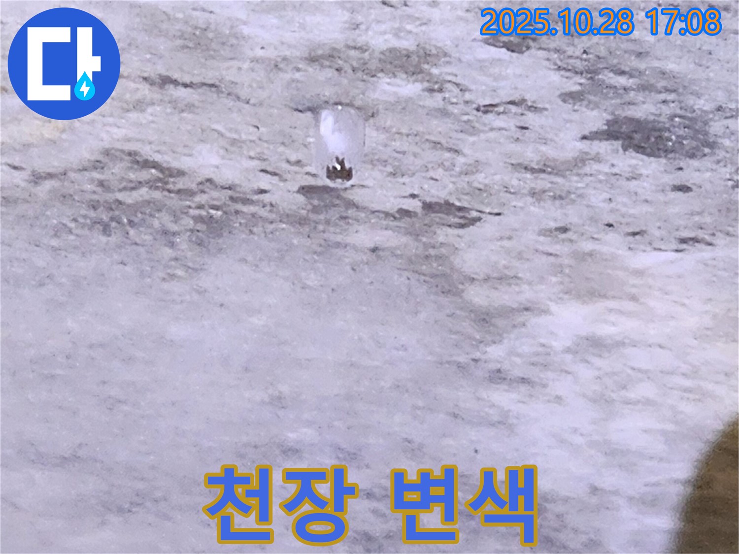 유양동 누수 - 천장 변색 - 누수 가능성 확인 필요