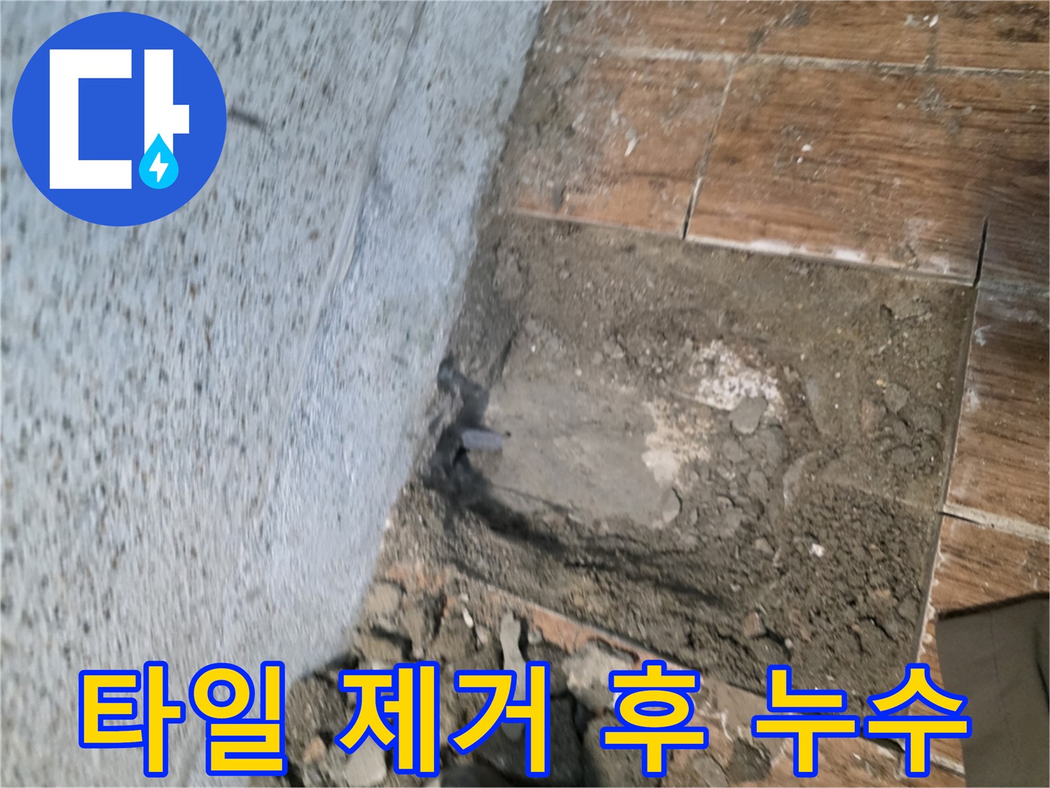 동두천 방죽로 누수탐지 현장 - 타일 제거 후 드러난 누수 지점