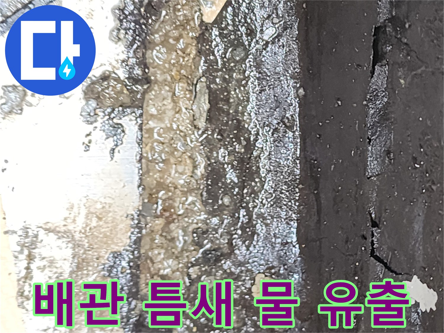 배수구-연결부-사이로-스며든-누수된-물과-오염