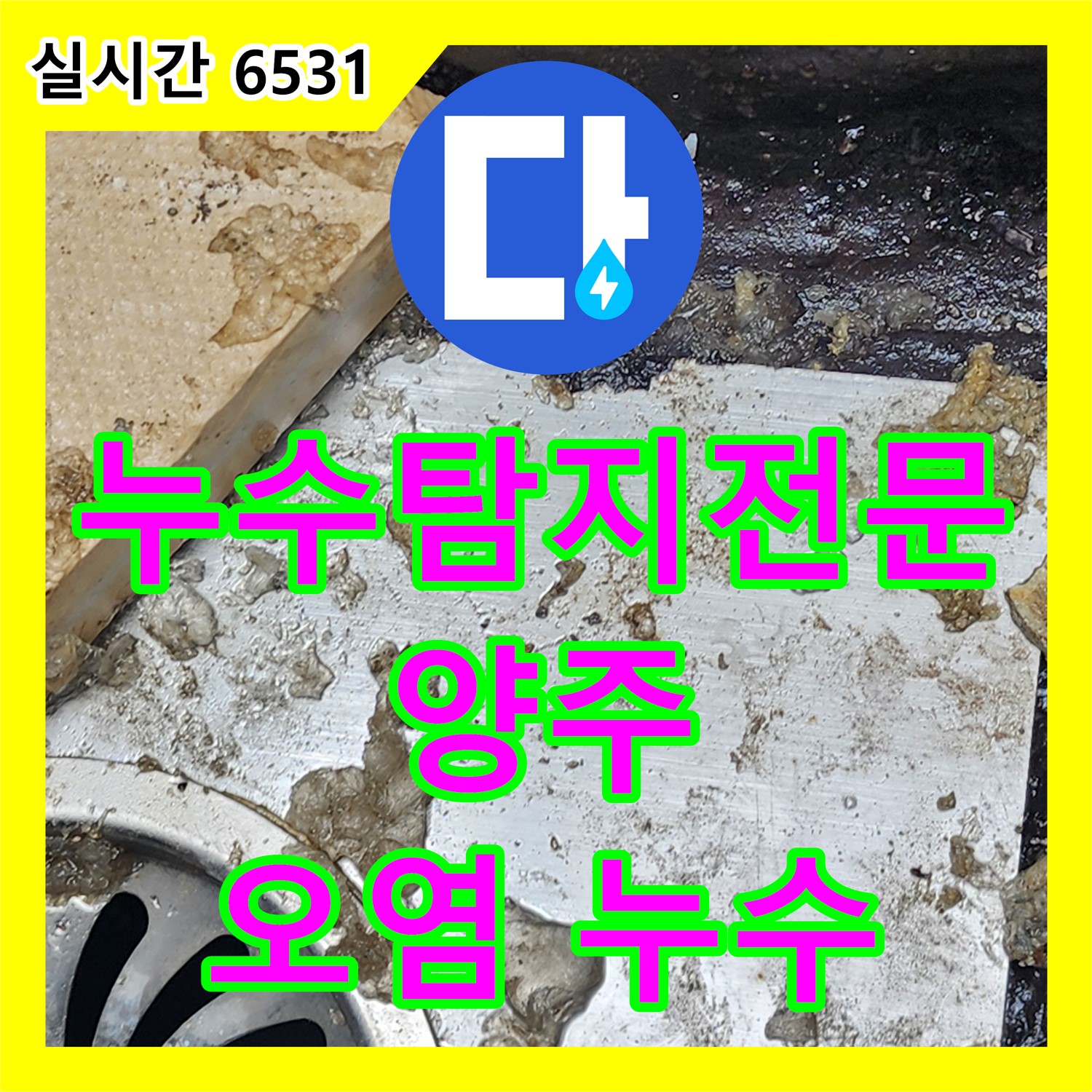 산북동 누수탐지전문, 양주 배수 호스 주변 오염으로 인한 누수 진단