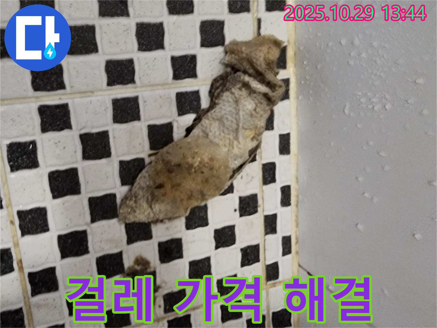 양주시 산북동 누수 현장 - 젖은 걸레와 합리적인 가격으로 누수 해결
