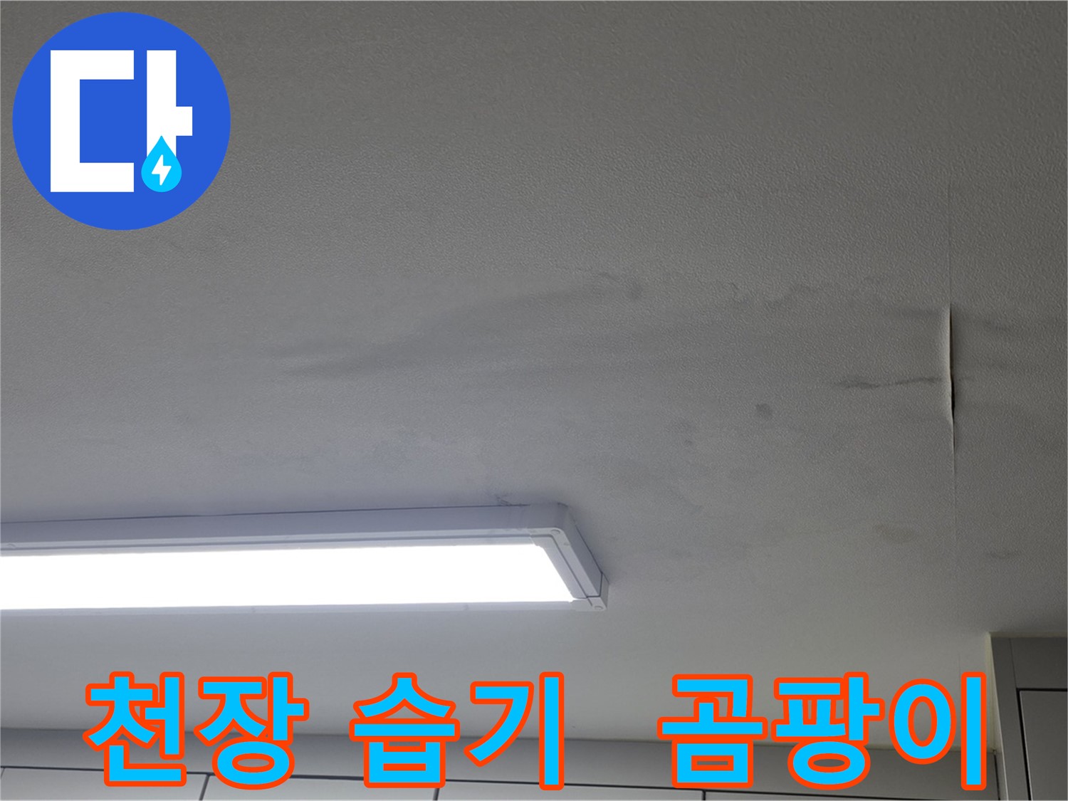 천장 습기 - 곰팡이 발생 위험 - 즉시 점검