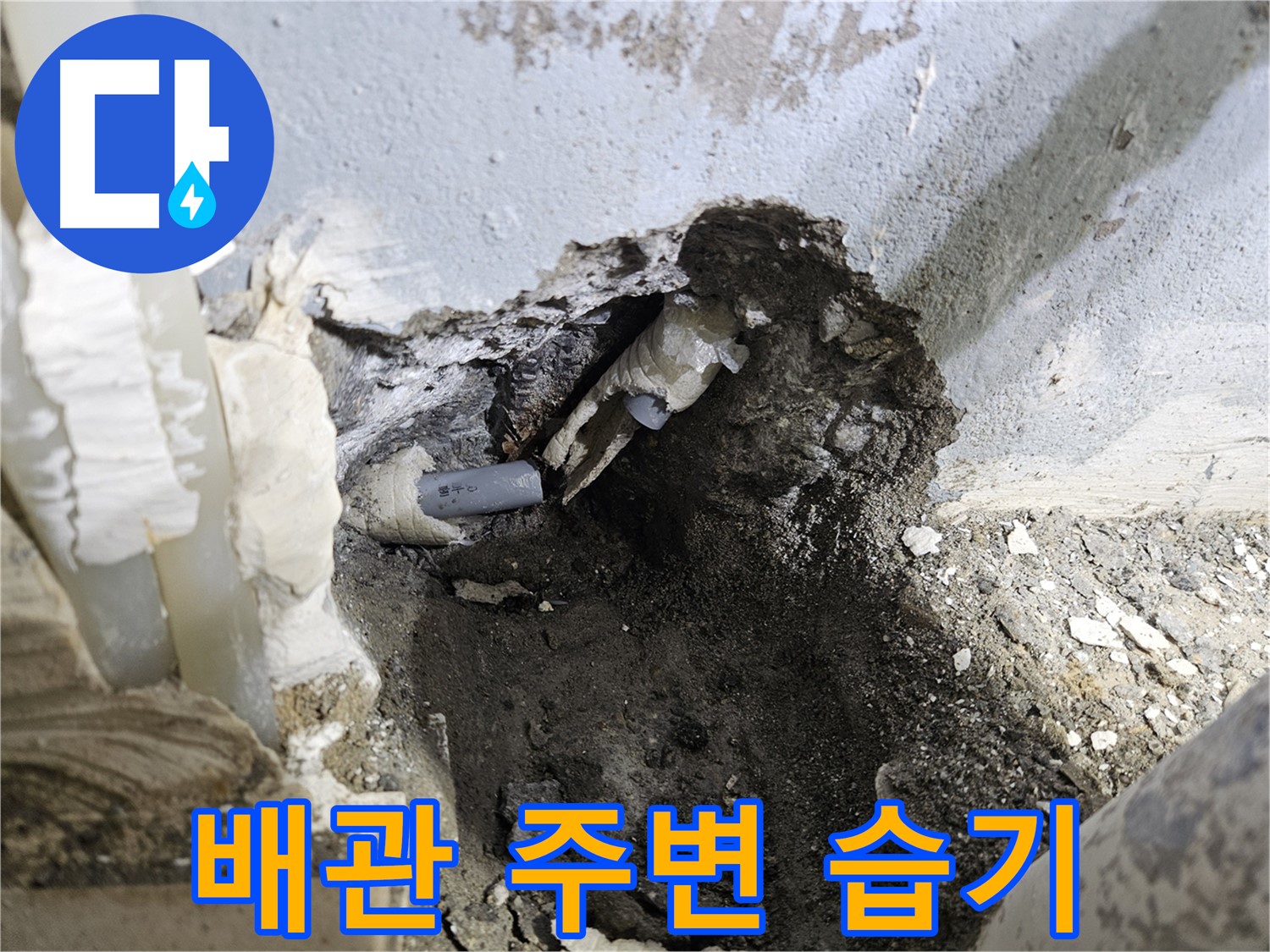 양평 용문면 어수리 - 누수 발생, 배관 주변 습기 가득