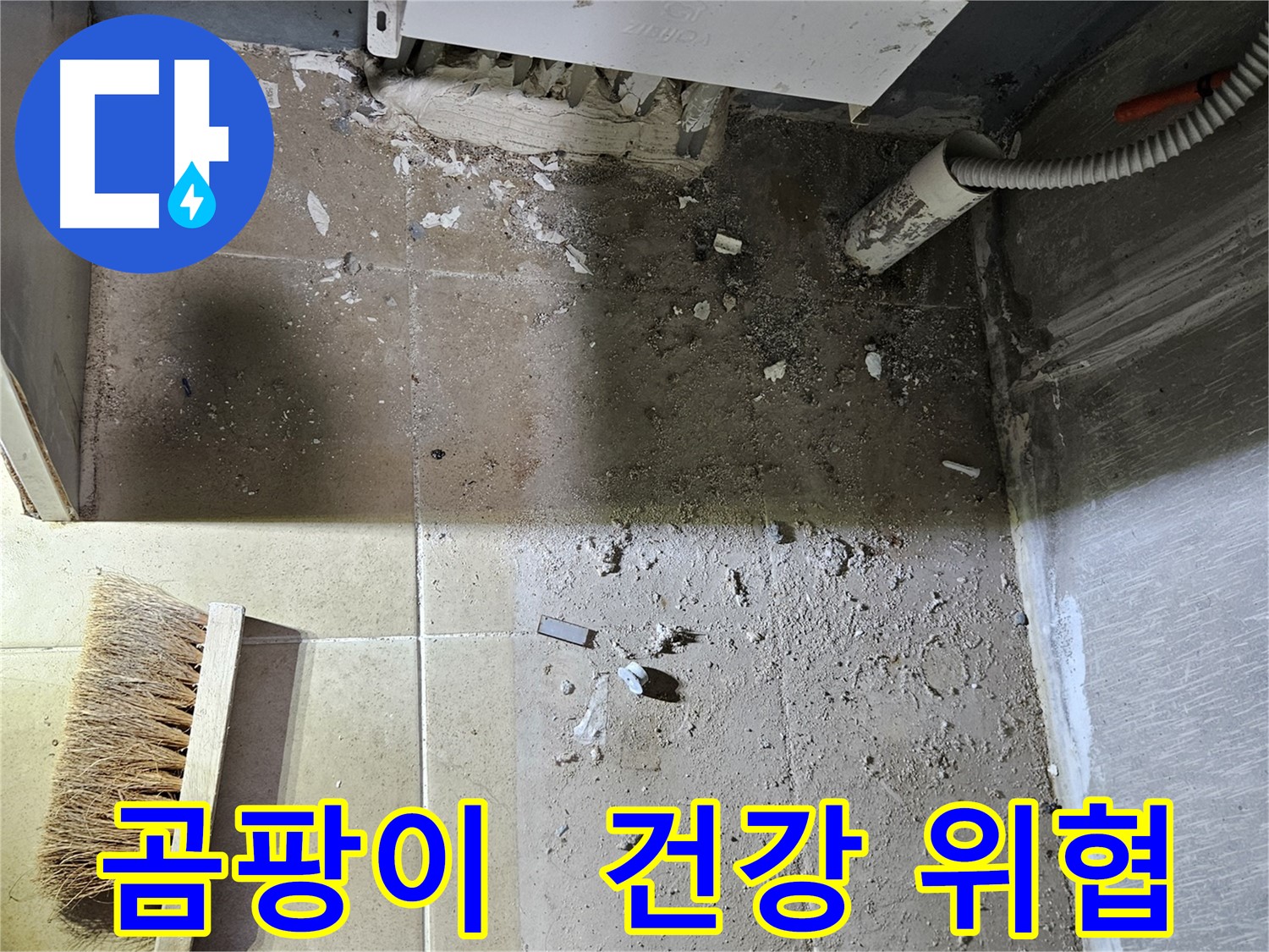 양평 용문면 어수리 보일러 누수 - 주변 곰팡이 - 건강 위협