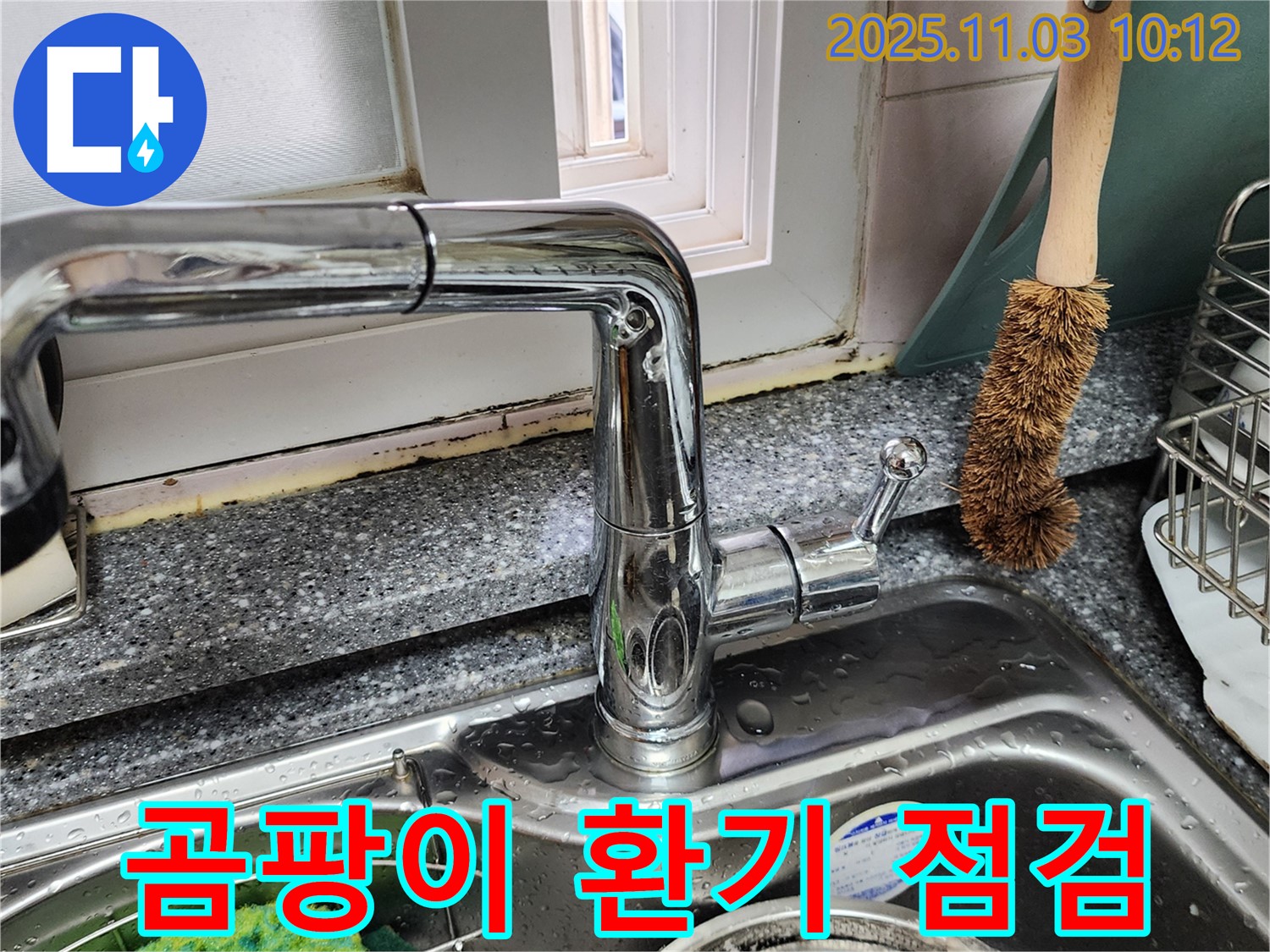 싱크대와 창틀 곰팡이 - 곰팡이 제거 - 환기 시스템 점검 서비스