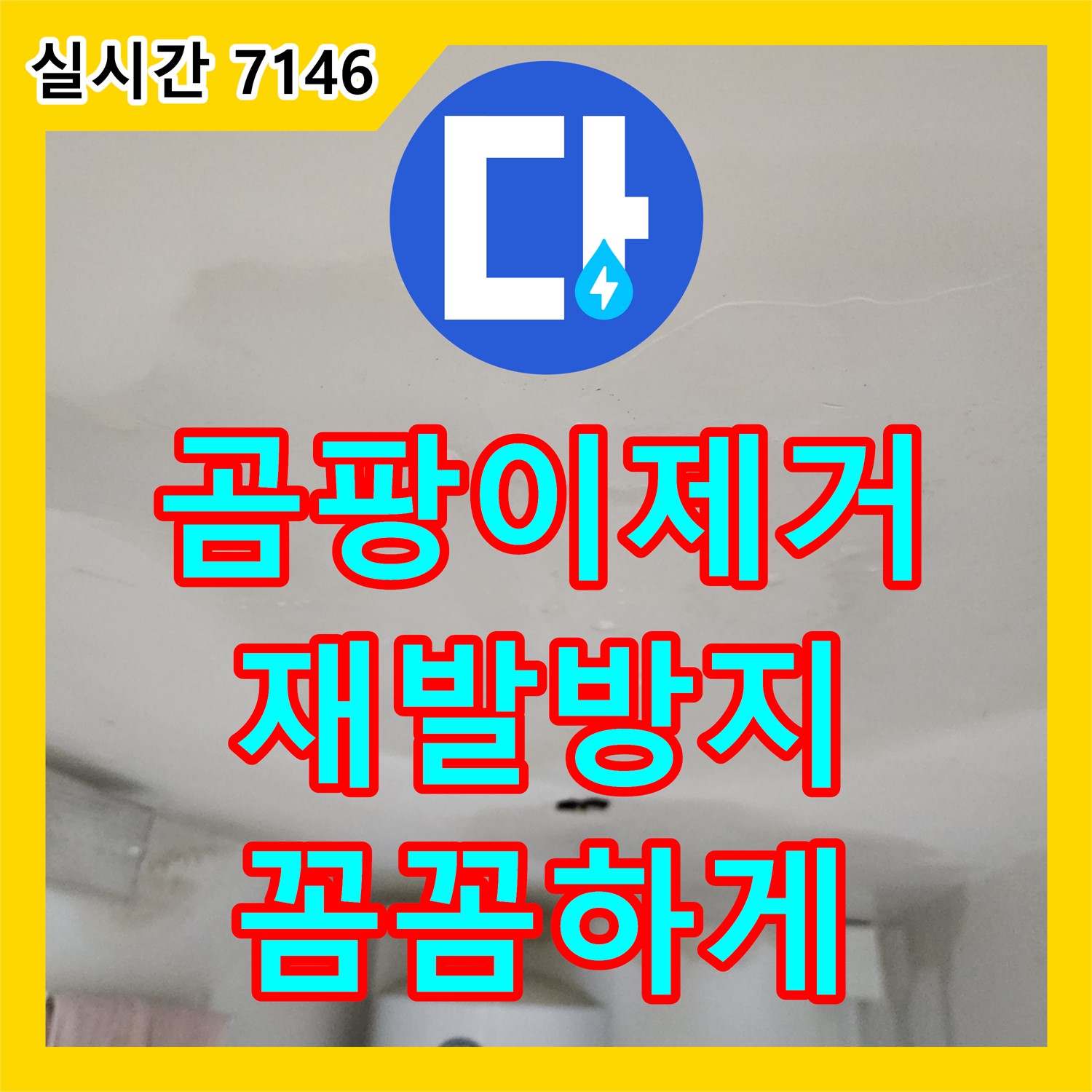 양주 옥정동 누수탐지, 곰팡이 제거 및 재발 방지 전문