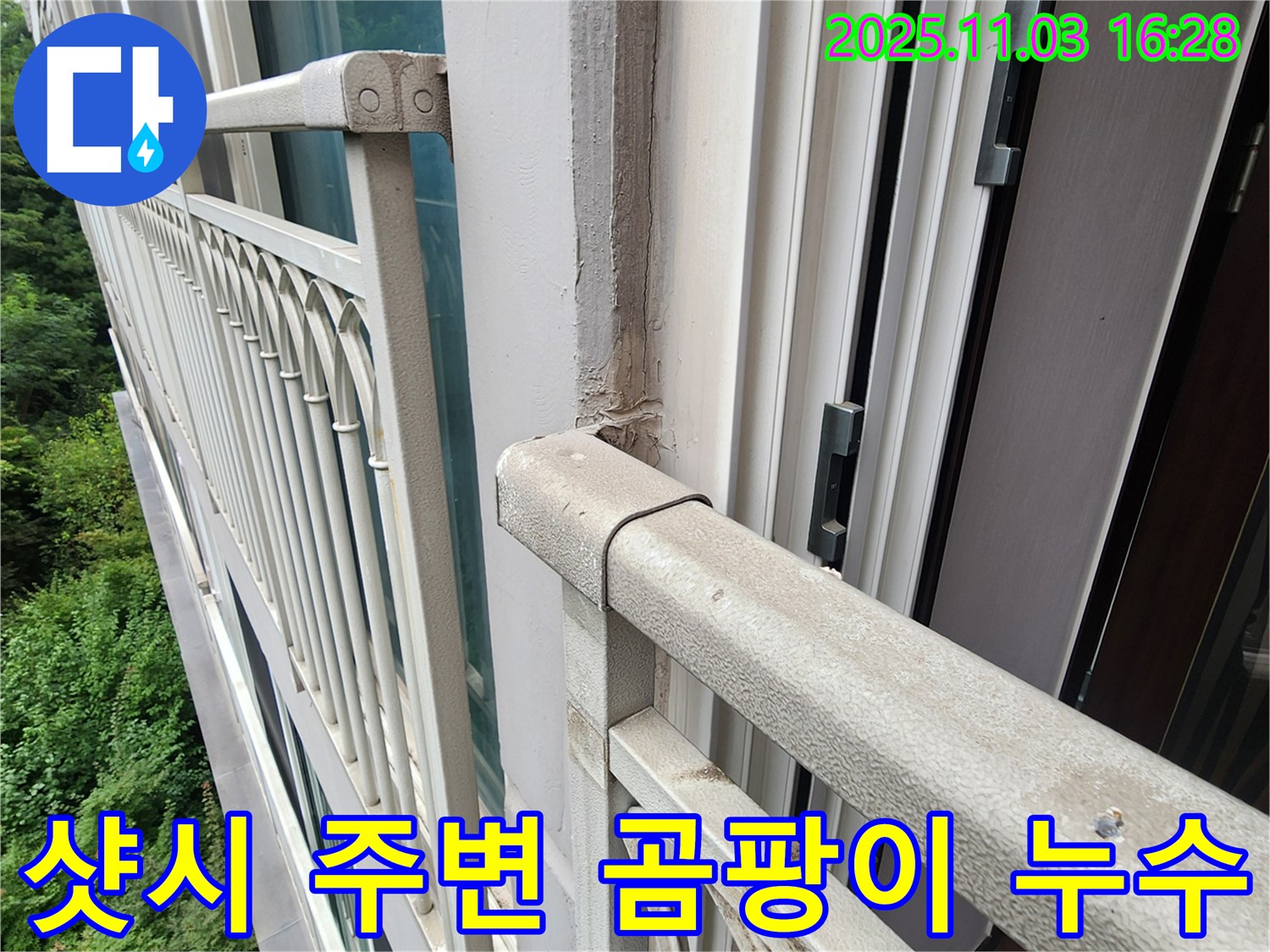 양주시 삼숭동 베란다 샷시 주변 곰팡이 누수 - 믿을 수 있는 업체에서 곰팡이 제거와 누수 해결!