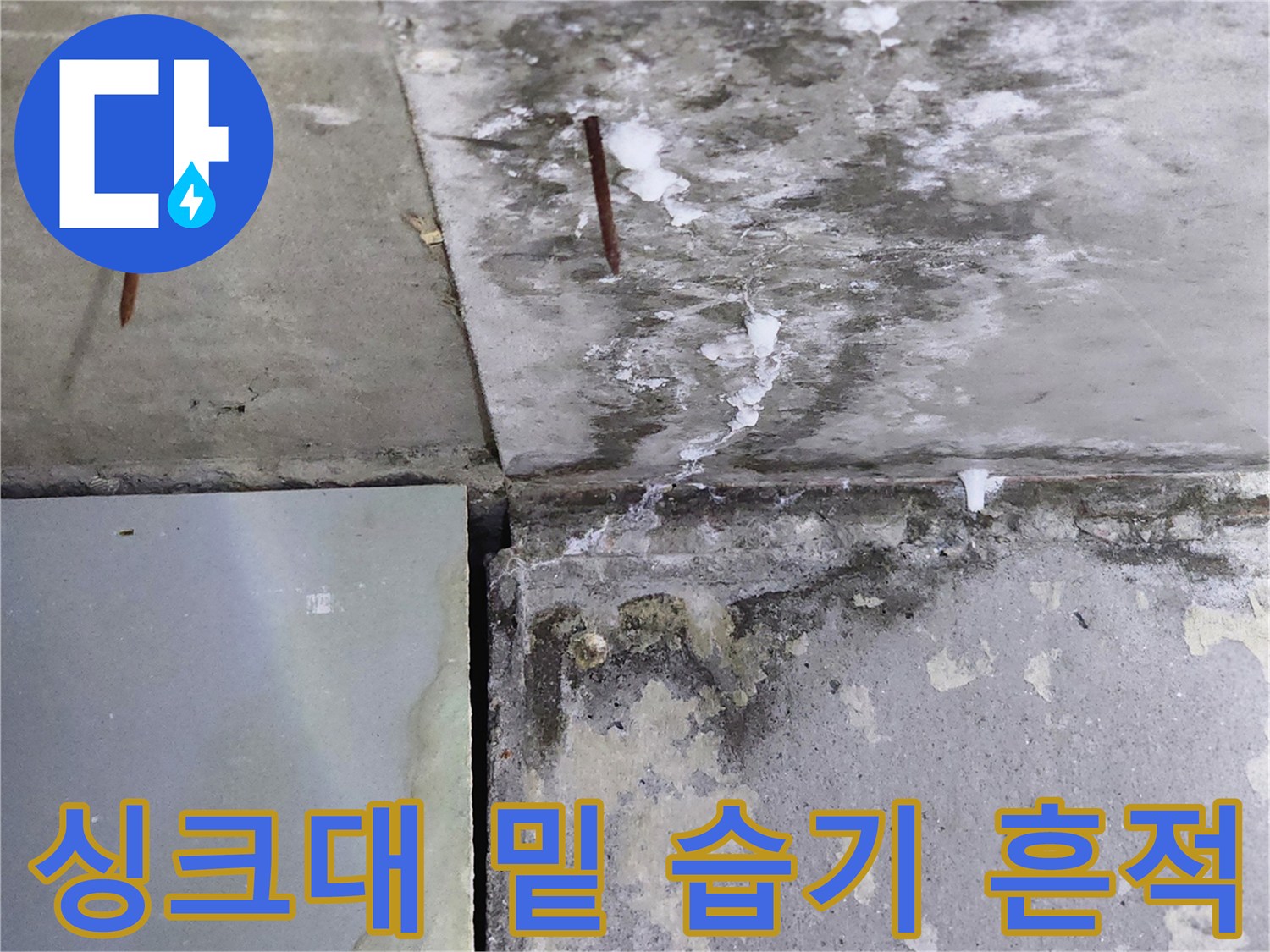 양주시 삼숭동 현장-습기로 인해 변색된 벽면과 바닥 경계부