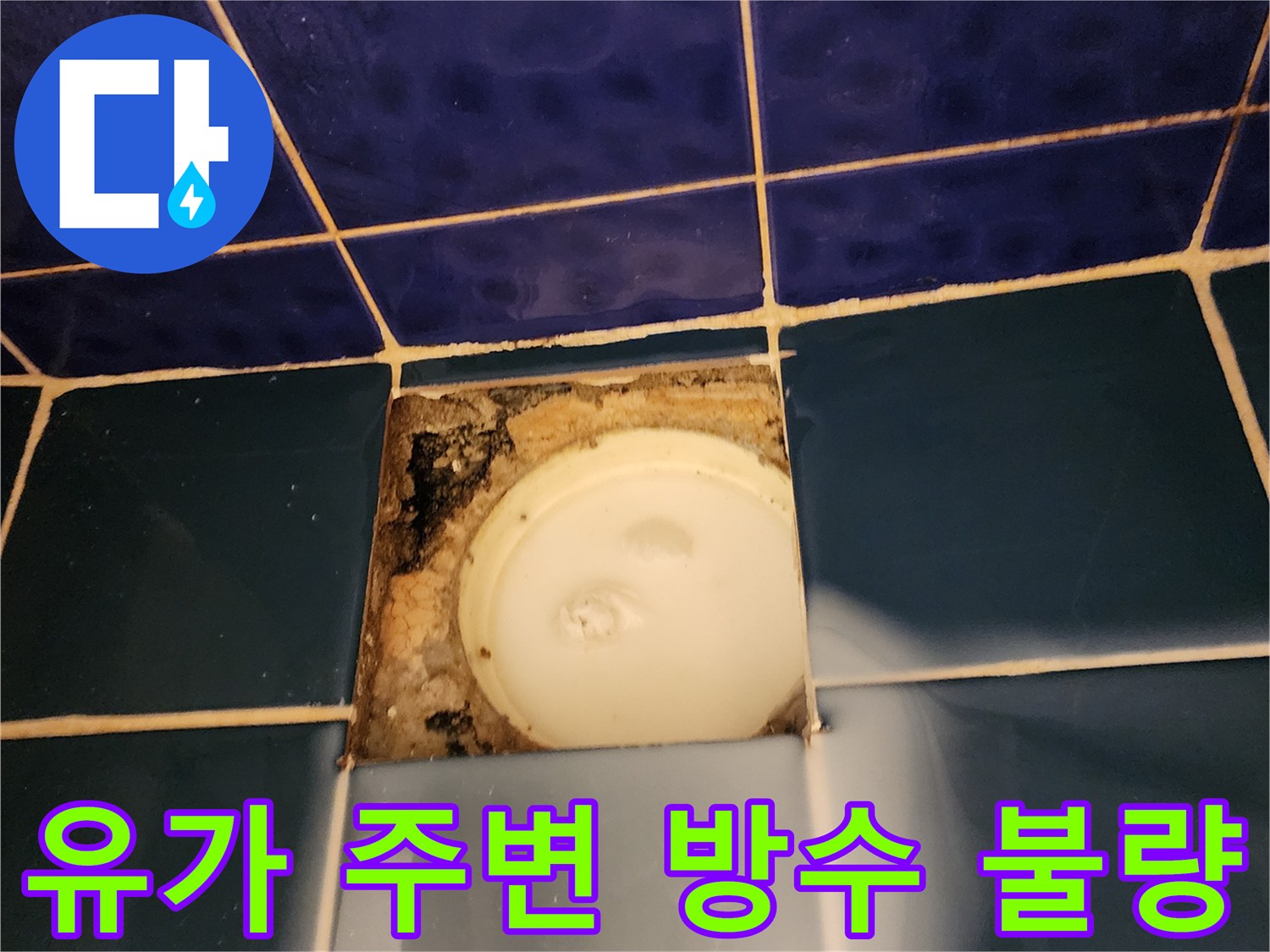 소흘읍 현장-배수 트랩 하부 침수 및 오염 부위