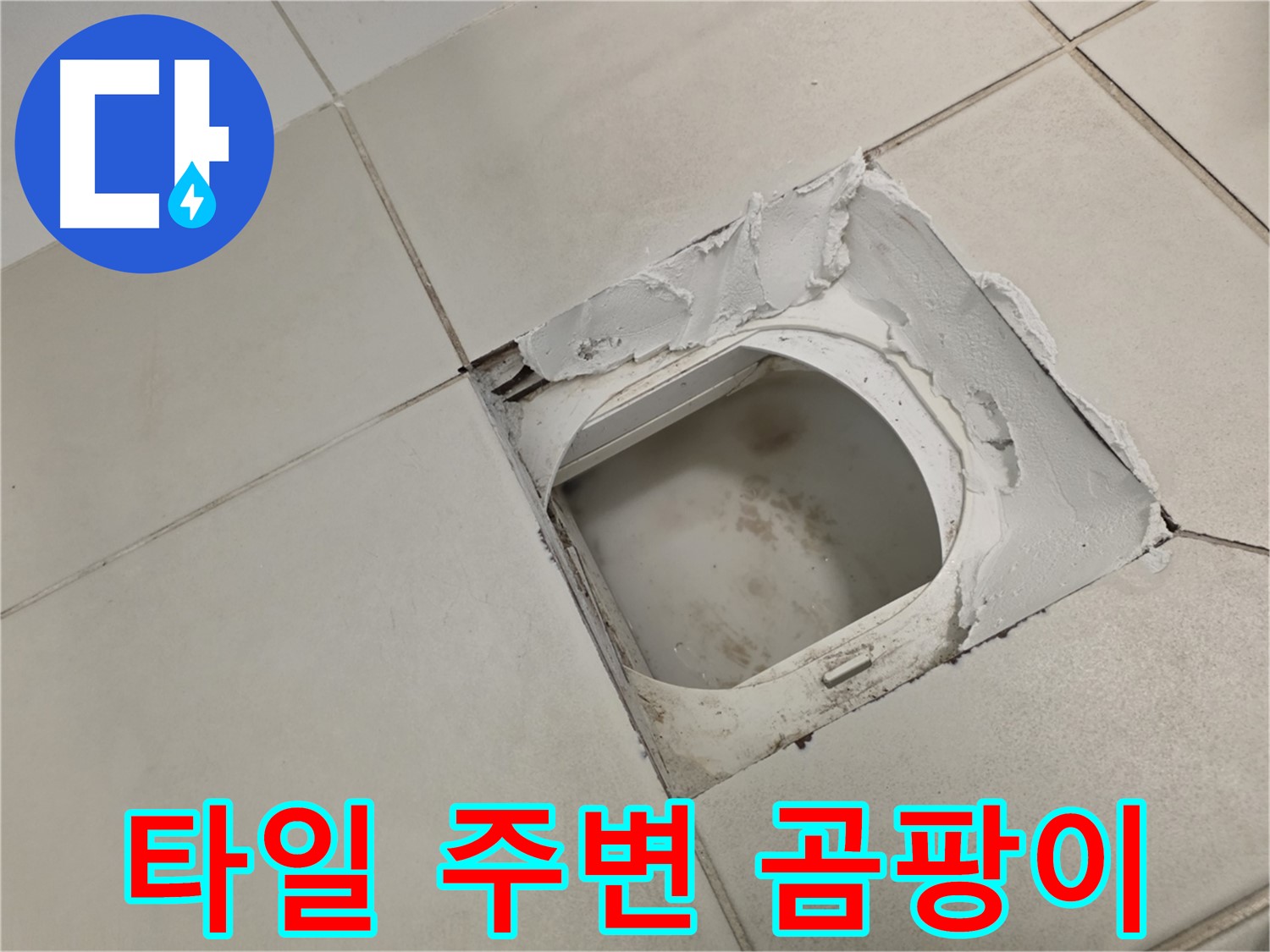 김포 사우동 누수 - 타일 주변 곰팡이는 숨겨진 누수 의심 신호