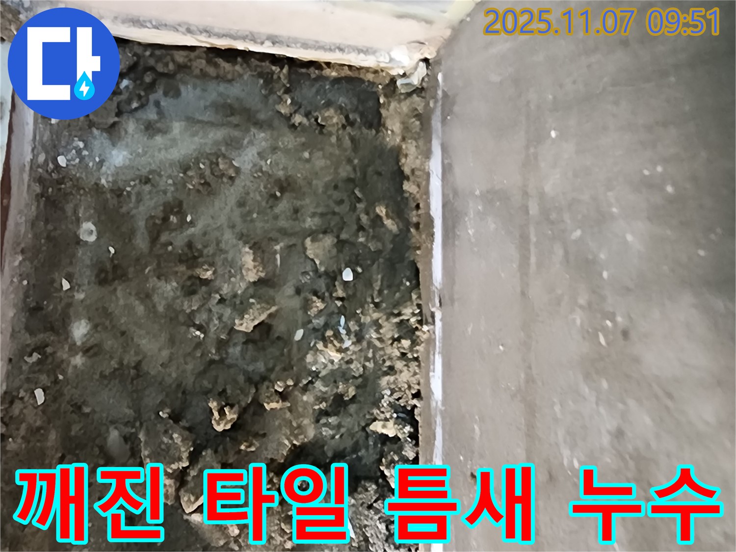 신곡2동 누수 - 깨진 타일 틈새가 누수의 시작점